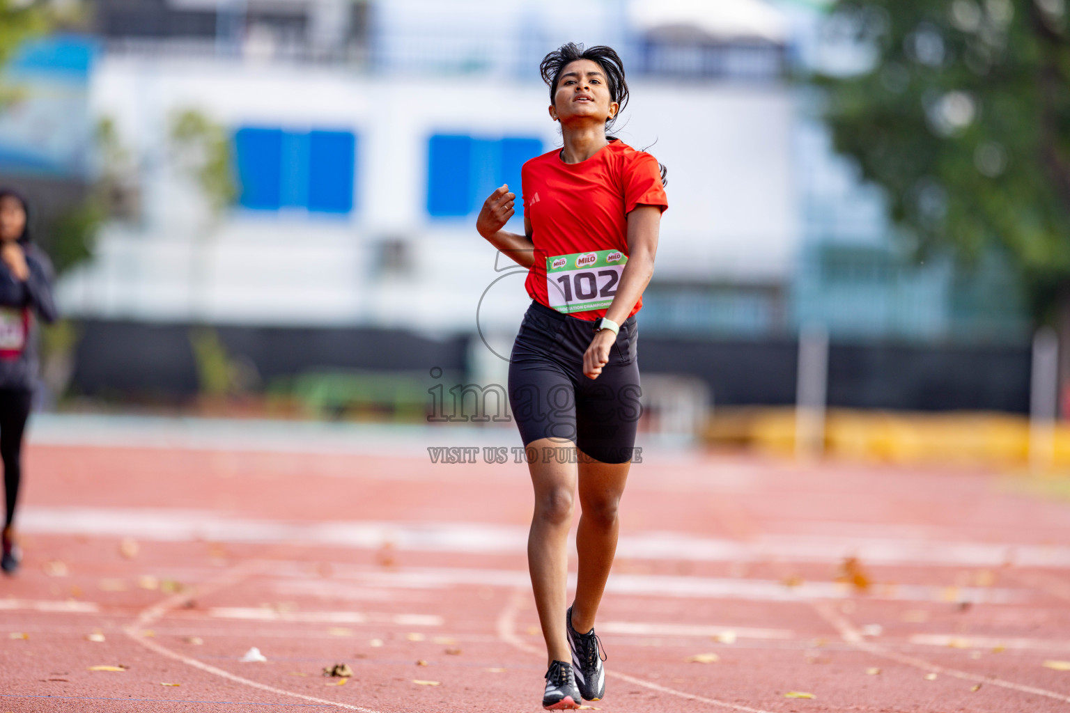Day 2 of 12th Milo Association Championships was held in Ekuveni Track at Male', Maldives on Friday, 25th April 2025. 
Photos: Hassan Simah / images.mv