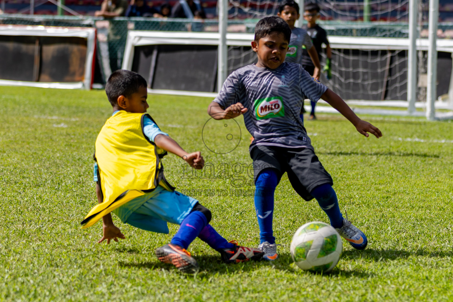 Day 2 of MILO Kids Football Fiesta was held at National Stadium in Male', Maldives on Saturday, 24th February 2024. Photos: Hassan Simah / images.mv