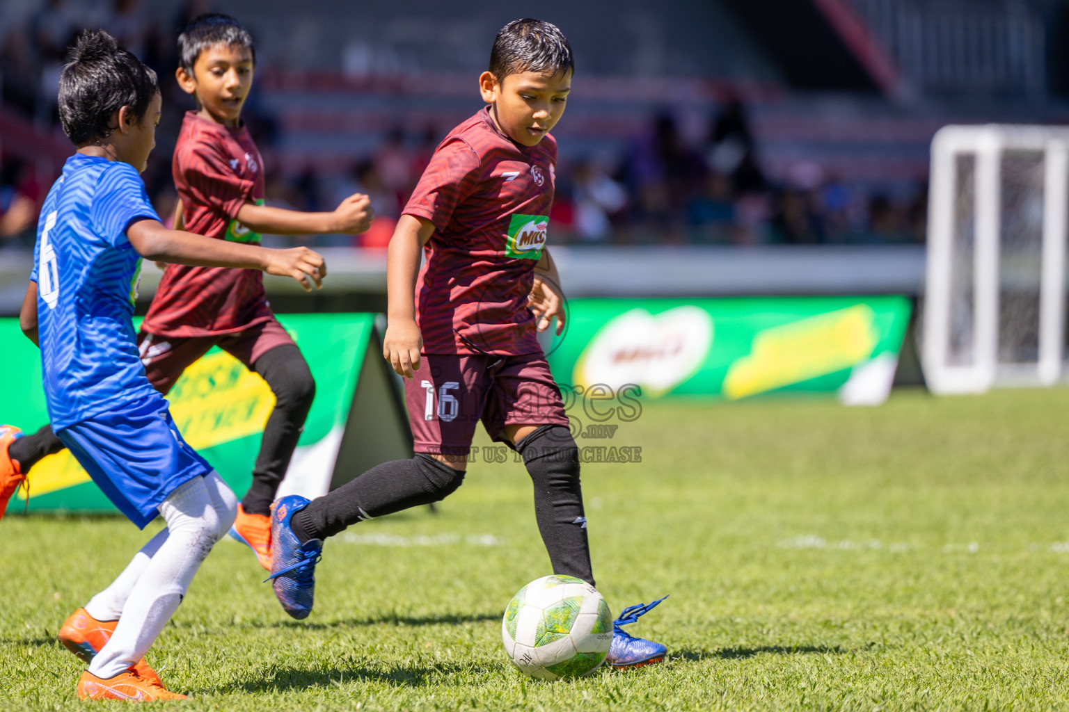 Day 1 of MILO Kids Football Fiesta was held at National Stadium in Male', Maldives on Friday, 23rd February 2024. 
Photos: Ismail Thoriq / images.mv