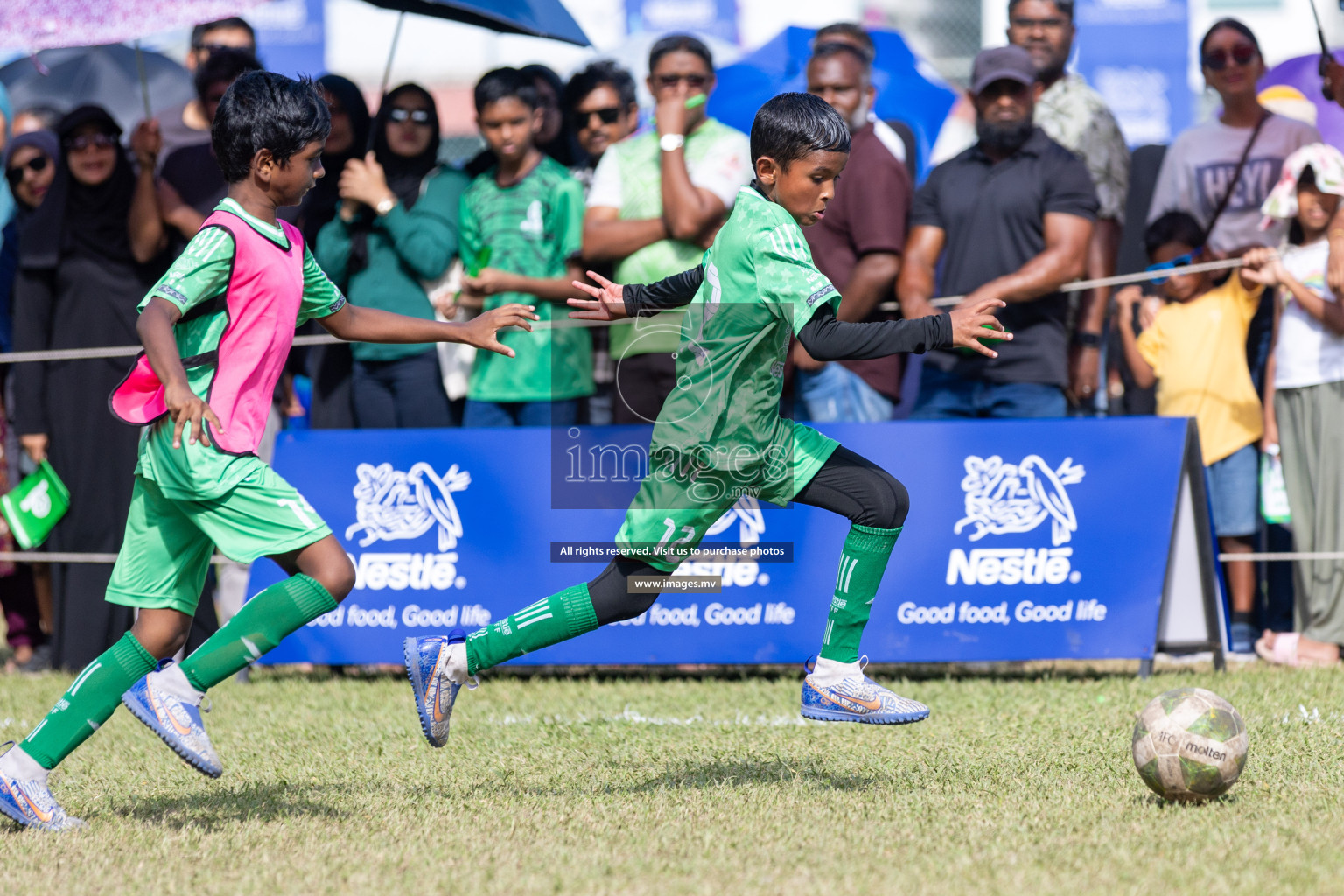 Nestle Kids Football Fiesta 2023 - Day 4
Day 4 of Nestle Kids Football Fiesta, held in Henveyru Football Stadium, Male', Maldives on Saturday, 14th October 2023 Photos: Nausham Waheed / images.mv