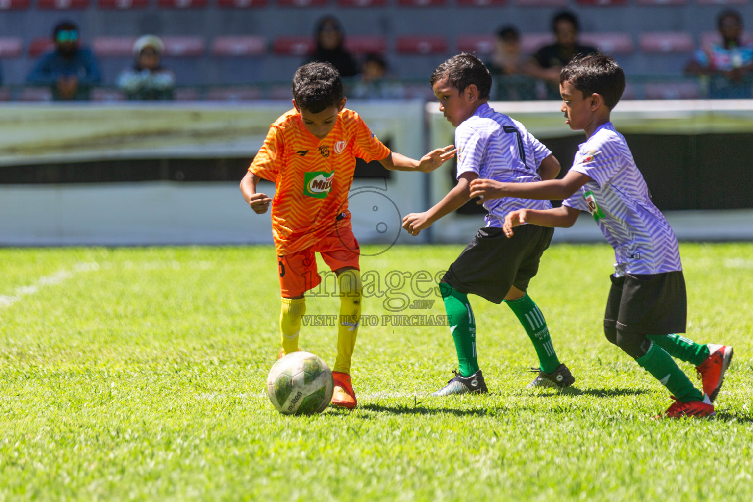 Day 1 of MILO Kids Football Fiesta was held at National Stadium in Male', Maldives on Friday, 23rd February 2024.