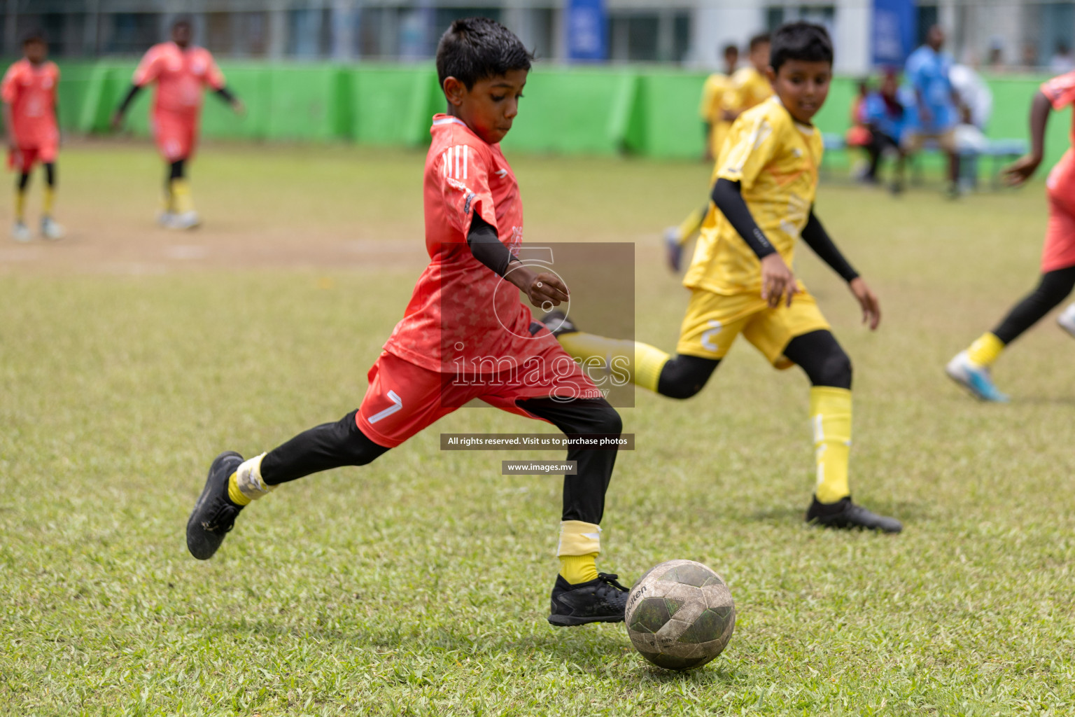 Day 4 of Nestle Kids Football Fiesta, held in Henveyru Football Stadium, Male', Maldives on Saturday, 14th October 2023
Photos: Mohamed Mahfooz Moosa, Hassan Simah / images.mv