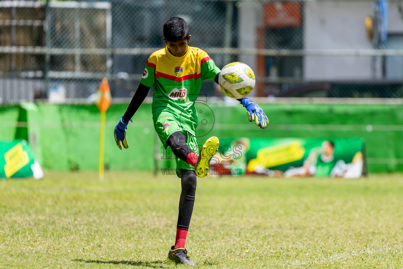 Day 3 of MILO Academy Championship 2024 (U-14) was held in Henveyru Stadium, Male', Maldives on Saturday, 2nd November 2024.
Photos: Hassan Simah / Images.mv