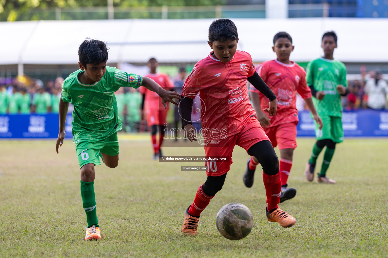 Nestle Kids Football Fiesta 2023 - Day 4
Day 4 of Nestle Kids Football Fiesta, held in Henveyru Football Stadium, Male', Maldives on Saturday, 14th October 2023 Photos: Nausham Waheed / images.mv