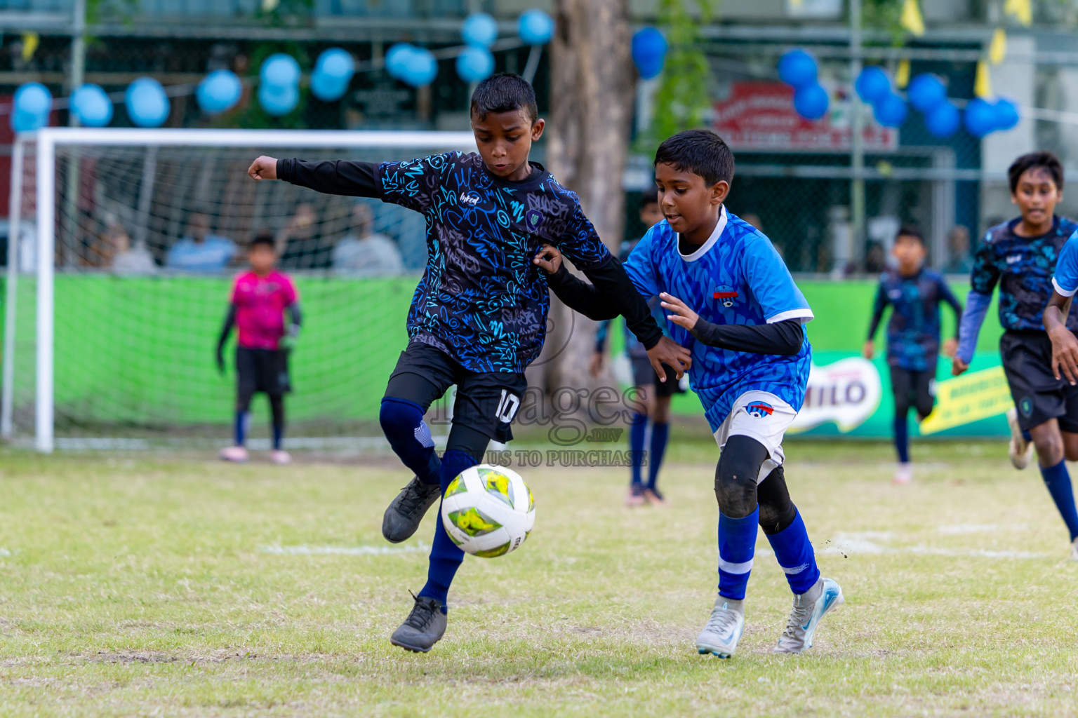 Day 3 MILO Kids 7s Weekend 2024 held in Male, Maldives on Saturday, 19th October 2024. Photos: Nausham Waheed / images.mv