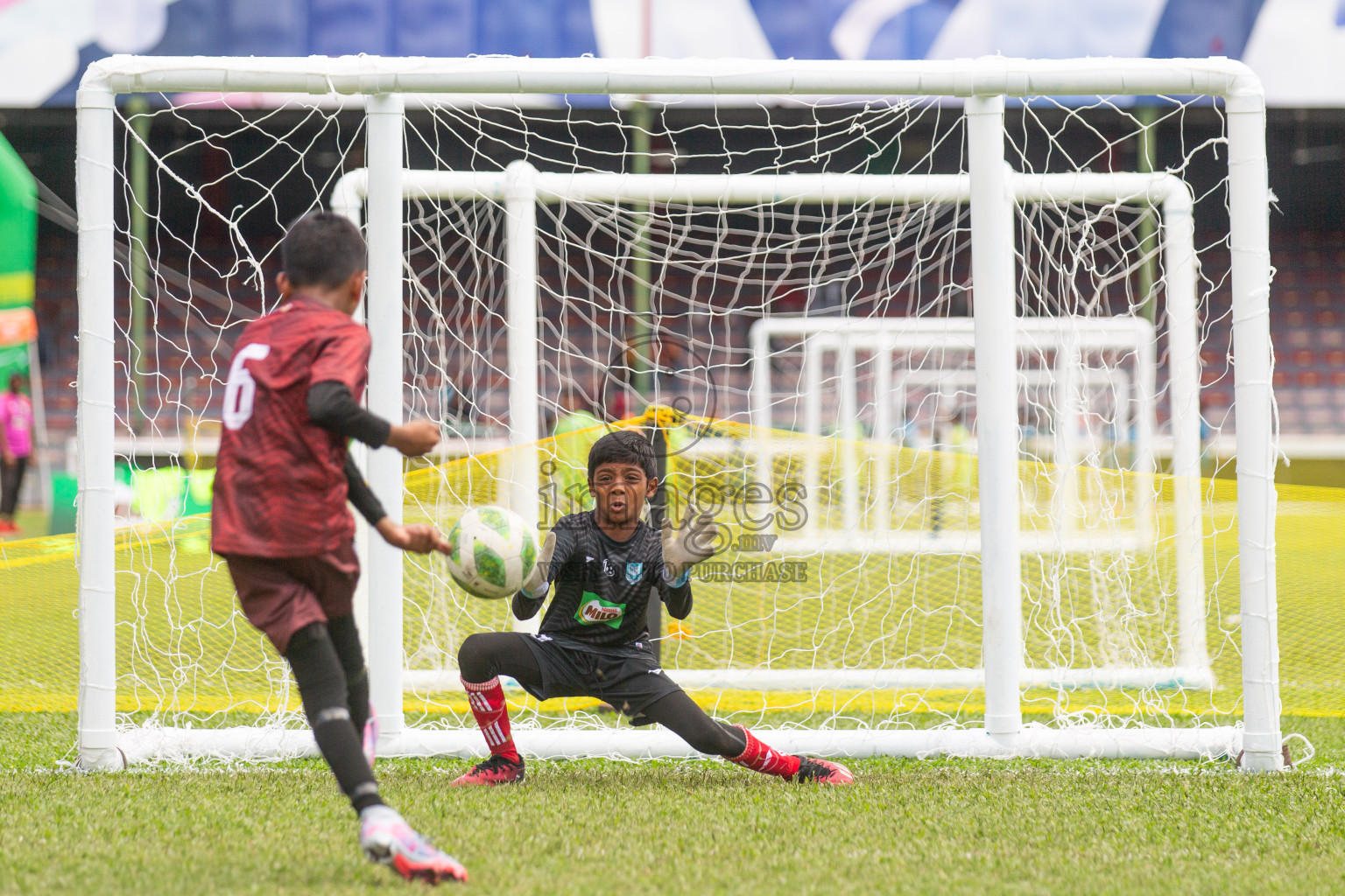 Day 2 of MILO Kids Football Fiesta was held at National Stadium in Male', Maldives on Saturday, 24th February 2024.