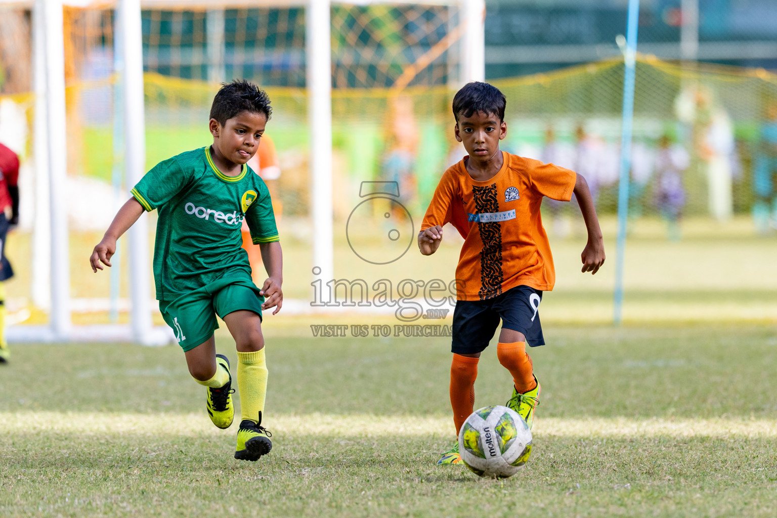 Day 2 of MILO SVAM Juniors 2025 (U-8) was held at Henveiru Stadium in Male', Maldives on Friday, 27th June 2025. 

Photos: Hassan Simah / images.mv