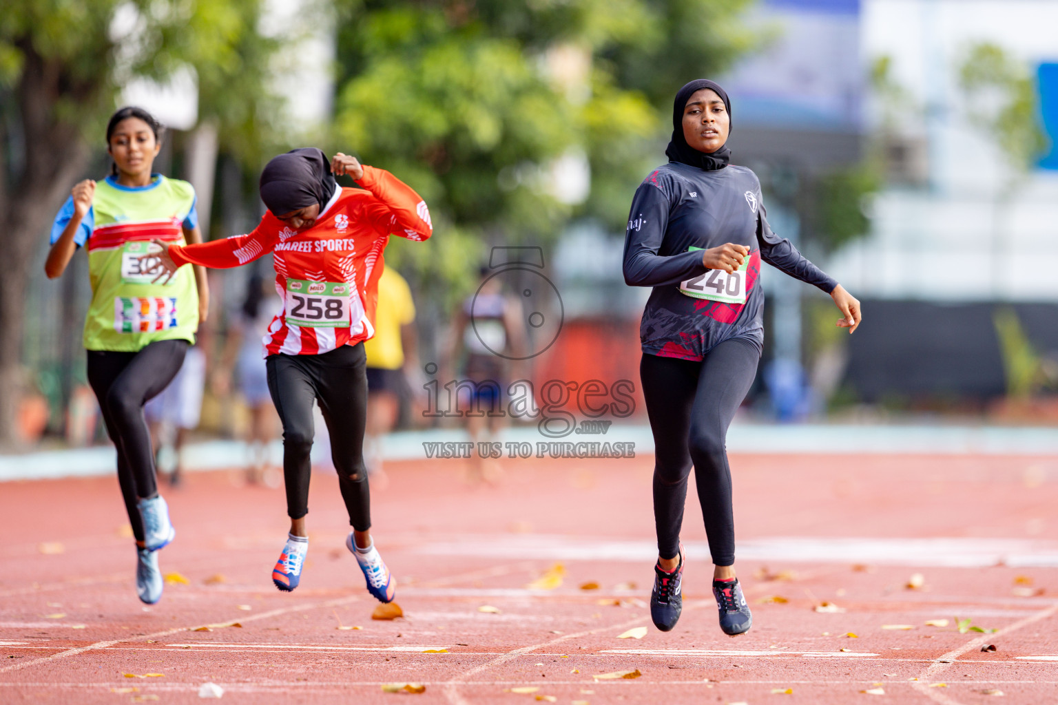 Day 2 of 12th Milo Association Championships was held in Ekuveni Track at Male', Maldives on Friday, 25th April 2025. 
Photos: Hassan Simah / images.mv