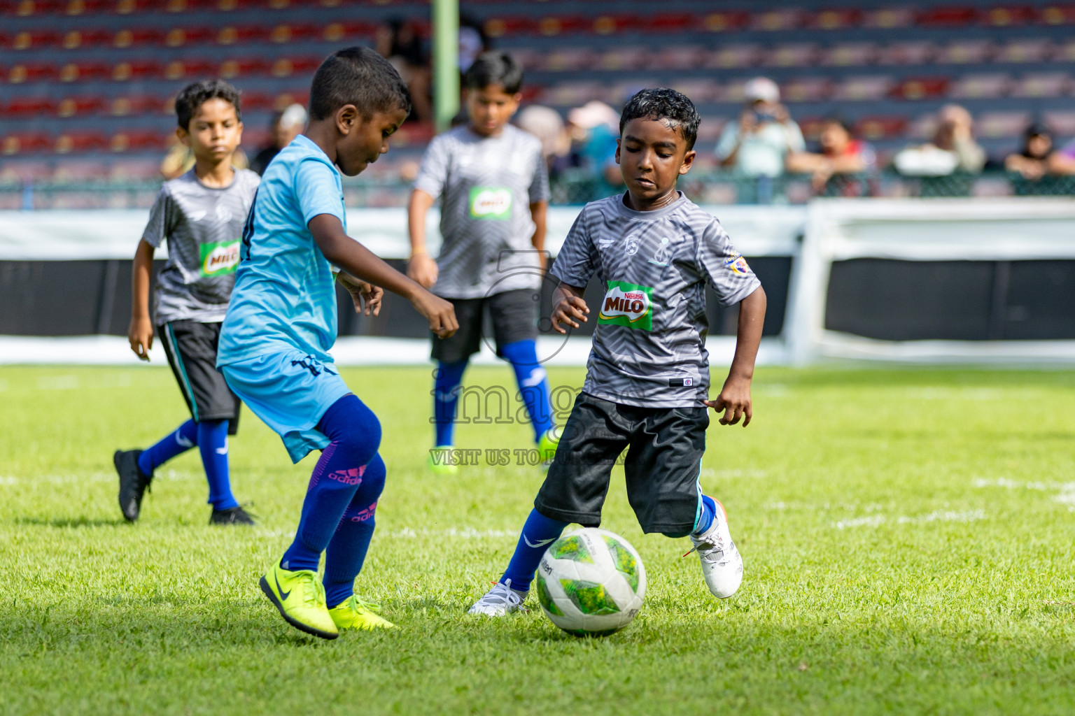 Day 1 of MILO Kids Football Fiesta was held at National Stadium in Male', Maldives on Friday, 23rd February 2024. 
Photos: Hassan Simah / images.mv