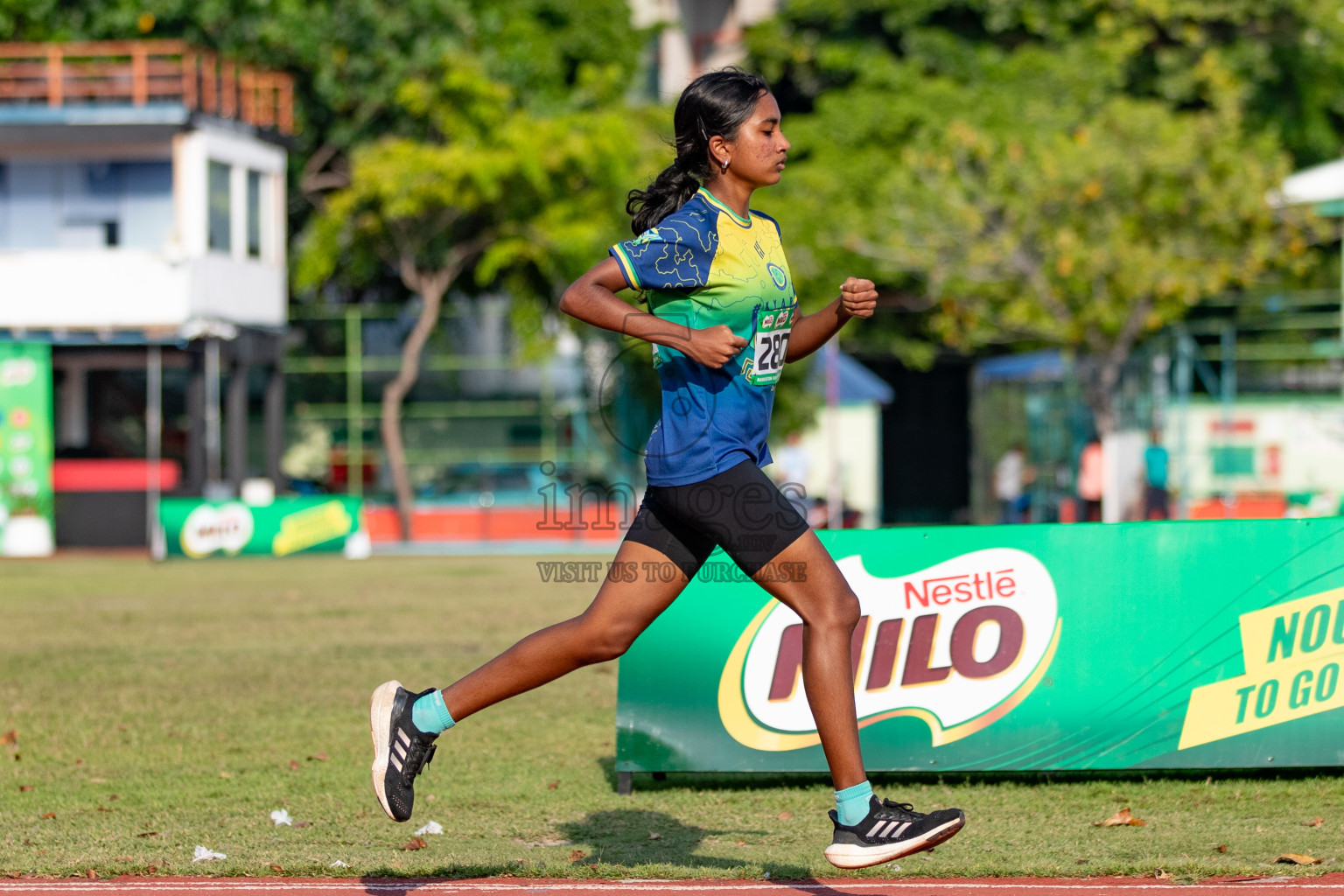 Day 4 of MILO Athletics Association Championship was held on Friday, 8th March 2024 in Male', Maldives. Photos: Hasna Hussain