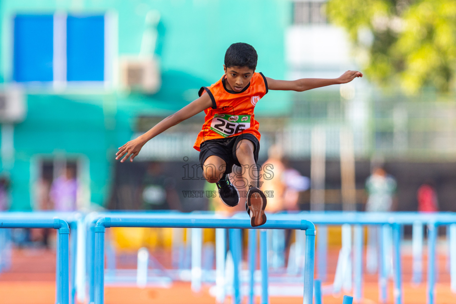 Day 1 of MILO Athletics Association Championship was held on Tuesday, 5th May 2024 in Male', Maldives. Photos: Nausham Waheed