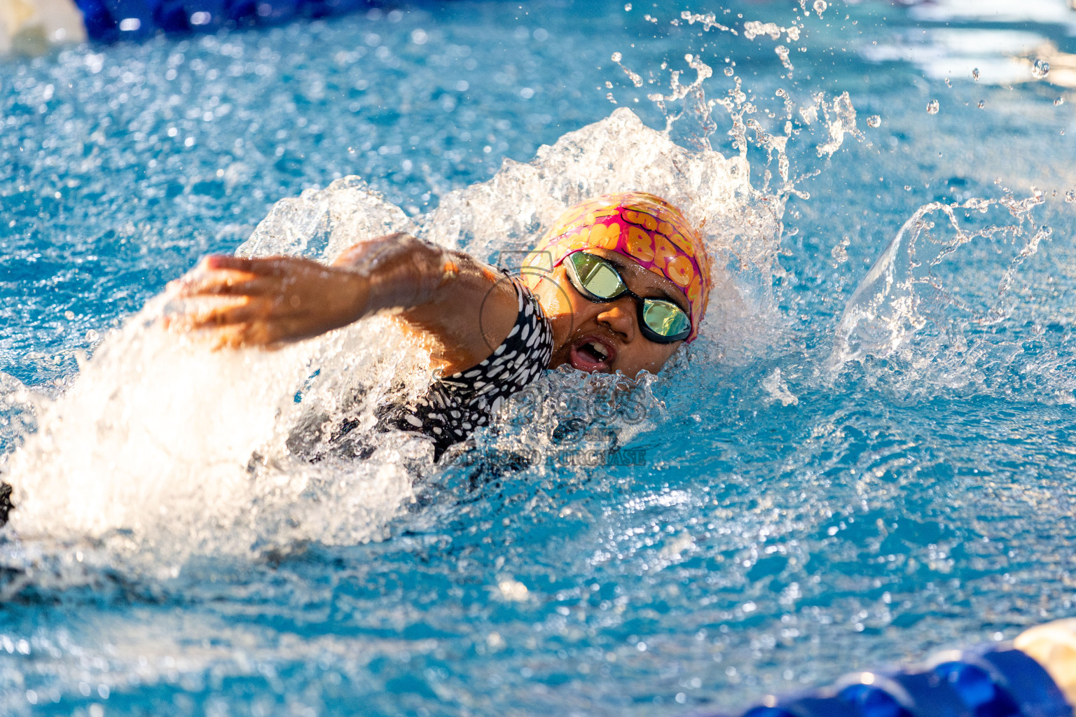 Day 3 of National Swimming Competition 2024 held in Hulhumale', Maldives on Sunday, 15th December 2024. Photos: Hassan Simah / images.mv