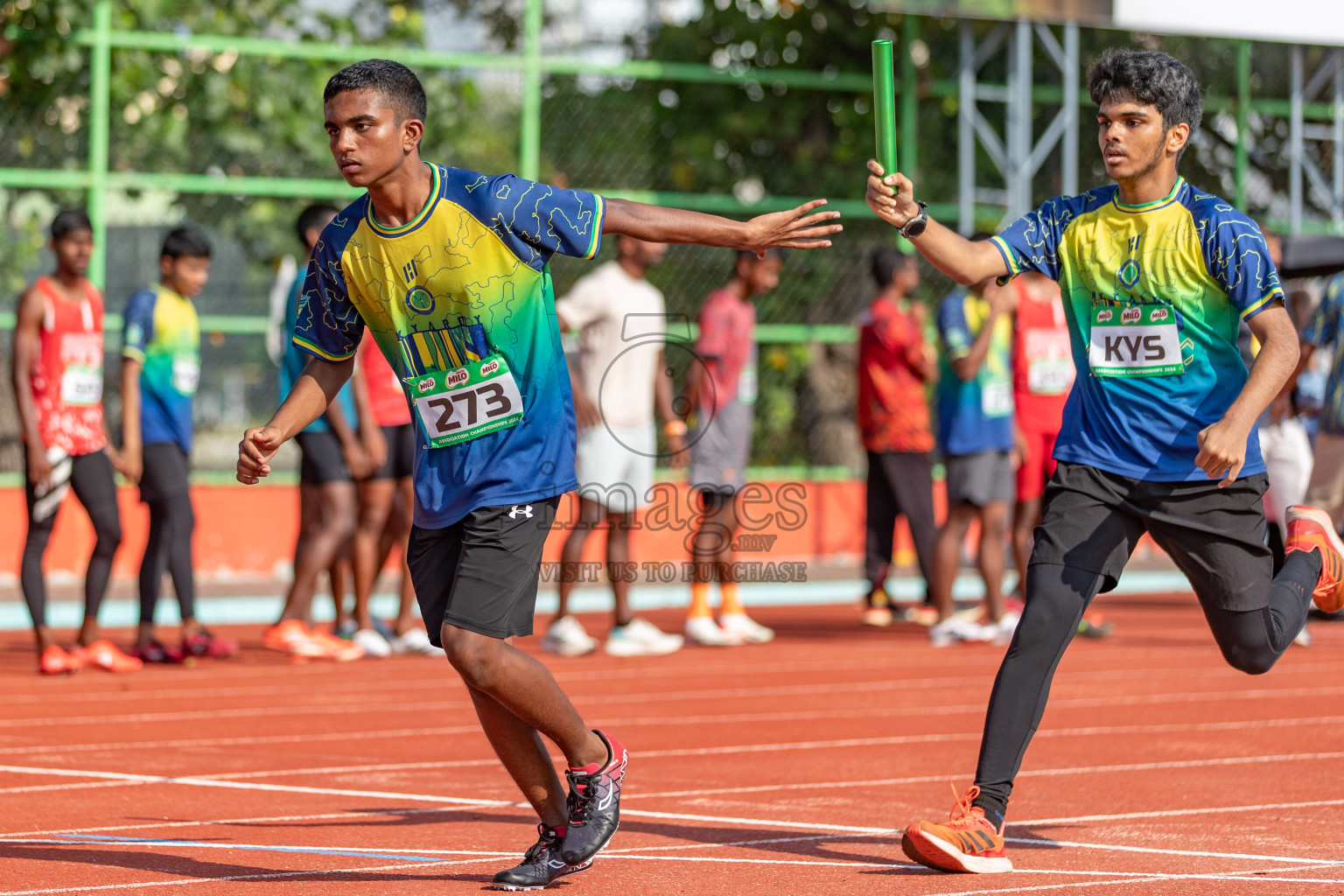 Day 4 of MILO Athletics Association Championship was held on Friday, 8th March 2024 in Male', Maldives. Photos: Hasna Hussain