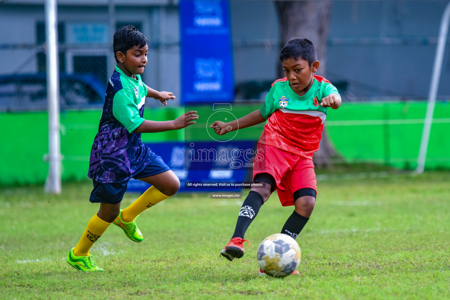 Day 1 of Milo Kids Football Fiesta 2022 was held in Male', Maldives on 19th October 2022. Photos: Nausham Waheed/ images.mv