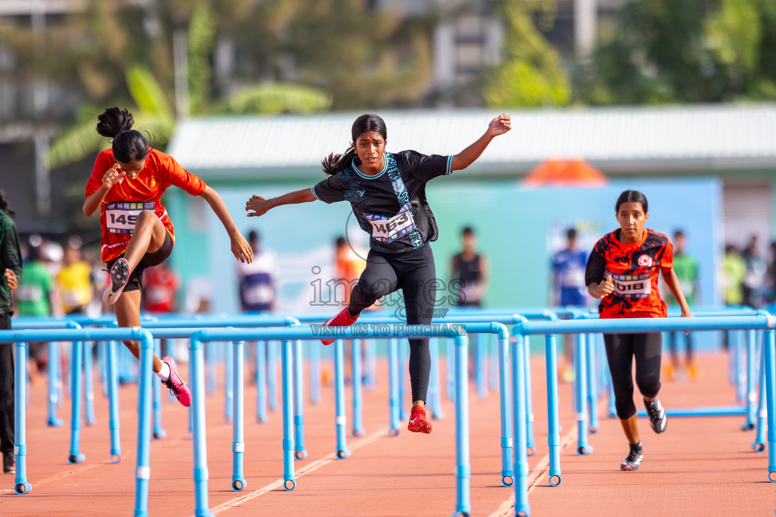 Day 5 of MWSC Interschool Athletics Championships 2024 held in Hulhumale Running Track, Hulhumale, Maldives on Wednesday, 13th November 2024. Photos by: Raif Yoosuf / Images.mv