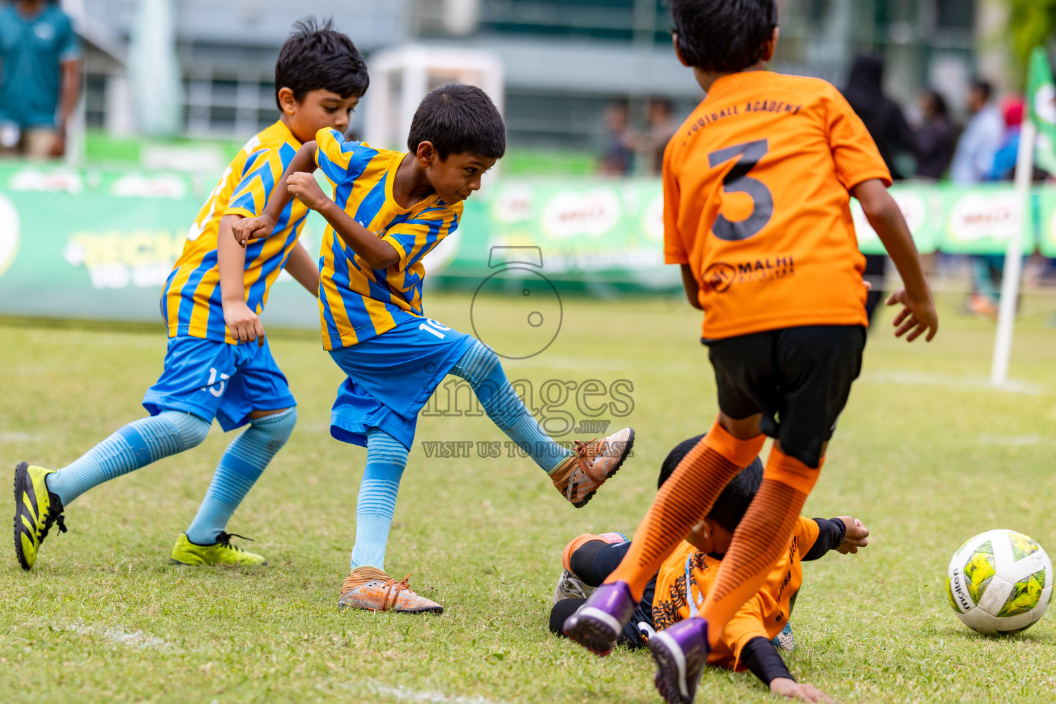 Day 1 of MILO SVAM Juniors 2025 (U-8) was held at Henveiru Stadium in Male', Maldives on Thursday, 26th June 2025. 
Photos: Hassan Simah / images.mv
