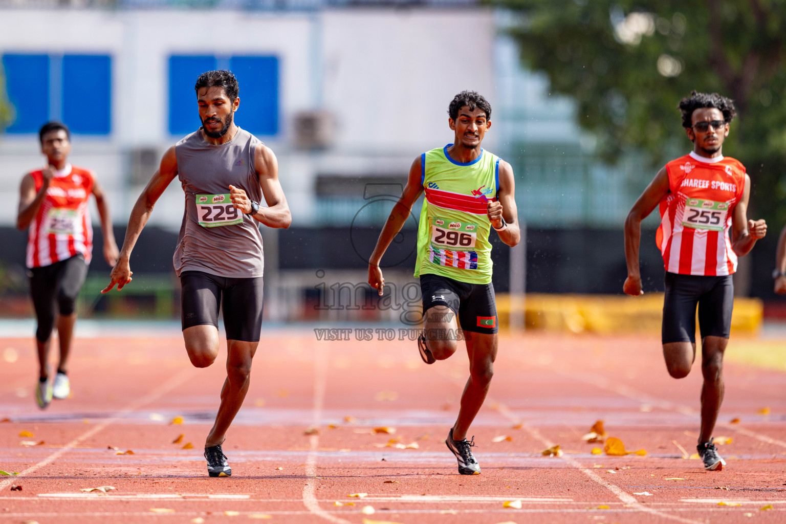 Day 2 of 12th Milo Association Championships was held in Ekuveni Track at Male', Maldives on Friday, 25th April 2025. 
Photos: Hassan Simah / images.mv