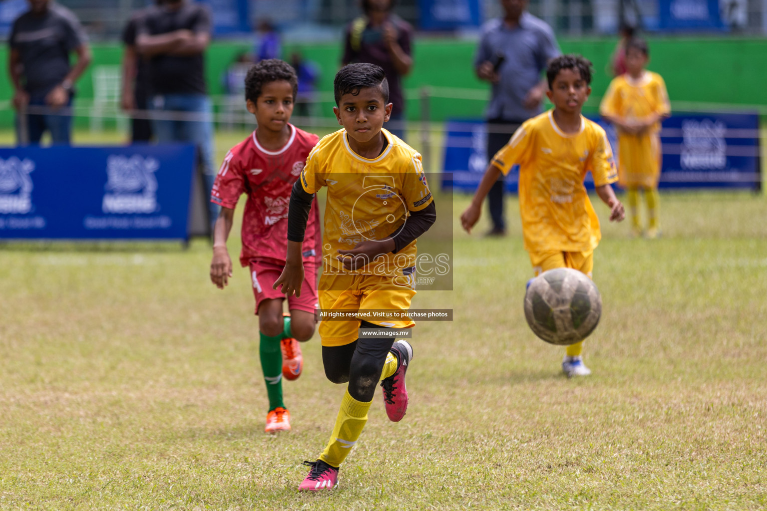 Day 3 of Nestle Kids Football Fiesta, held in Henveyru Football Stadium, Male', Maldives on Friday, 13th October 2023
Photos: Hassan Simah, Ismail Thoriq / images.mv