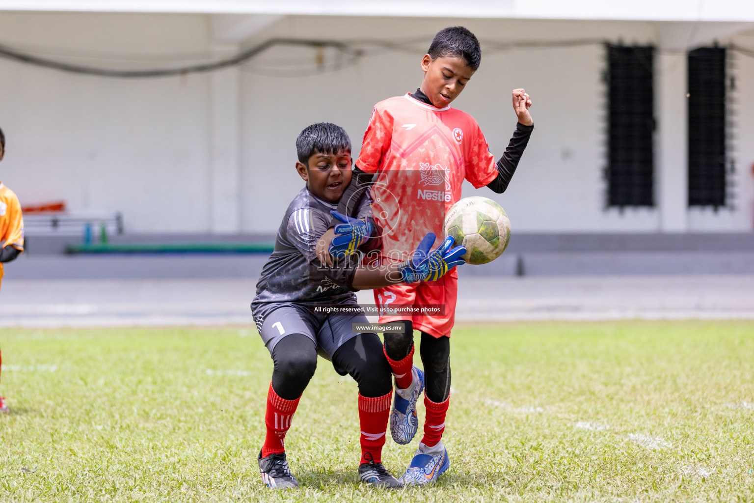 Day 1 of Milo kids football fiesta, held in Henveyru Football Stadium, Male', Maldives on Wednesday, 11th October 2023 Photos: Nausham Waheed/ Images.mv