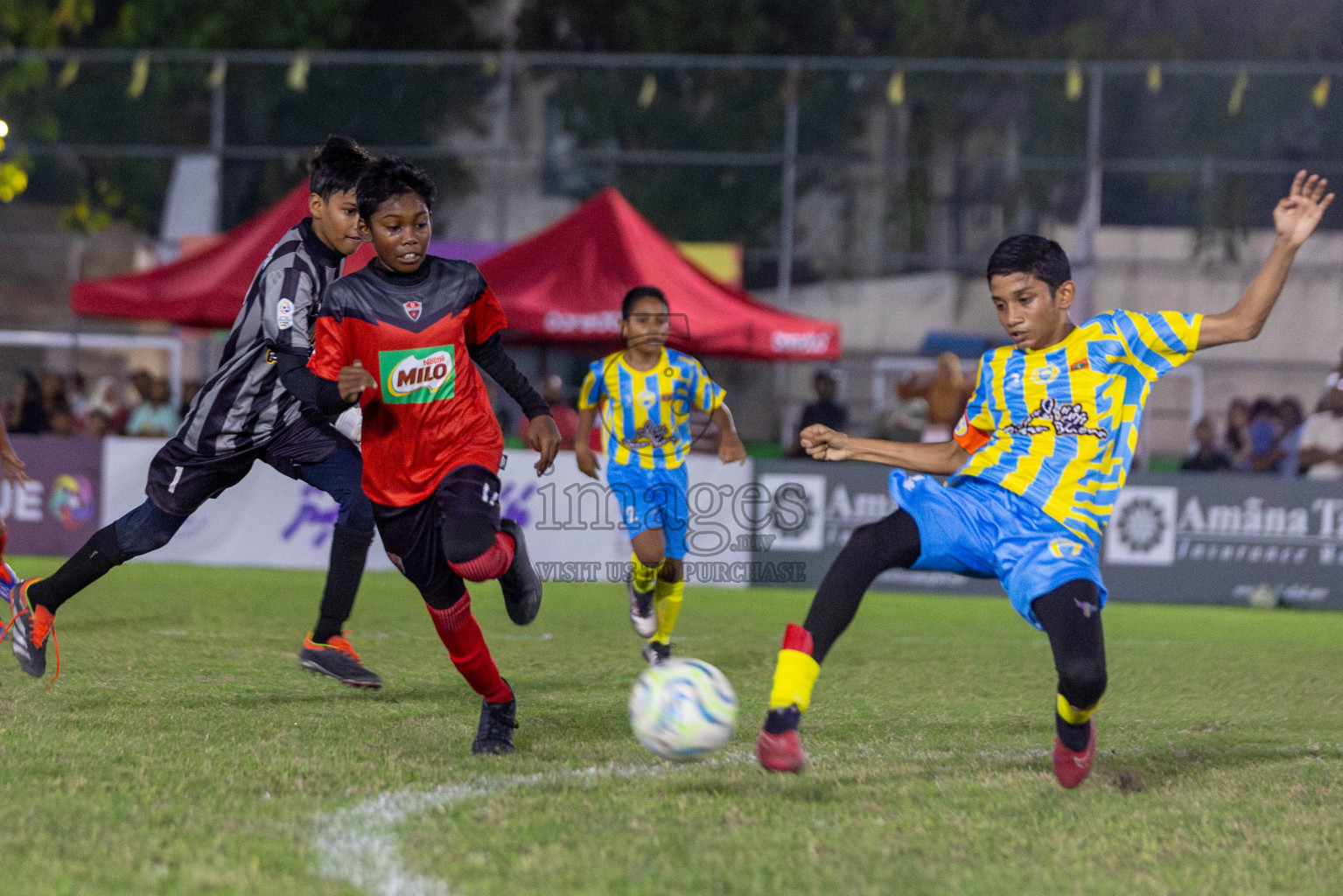 TC vs Valencia  (U12) in Day 5 of Dhivehi Youth League 2024 held at Henveiru Stadium on Friday 29th November 2024. Photos: Shuu Abdul Sattar/ Images.mv