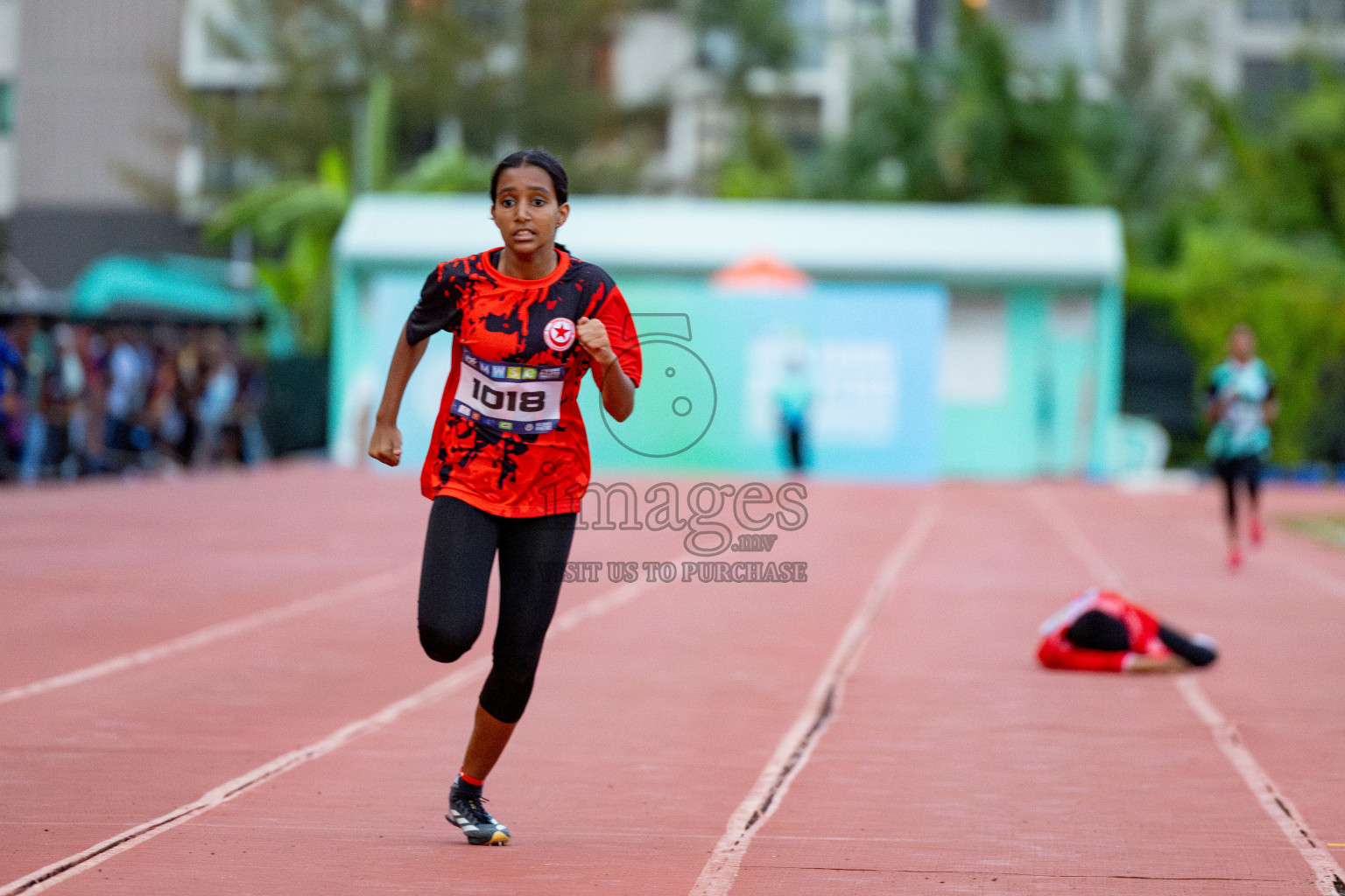 Day 2 of MWSC Interschool Athletics Championships 2024 held in Hulhumale Running Track, Hulhumale, Maldives on Sunday, 10th November 2024. 
Photos by: Hassan Simah / Images.mv