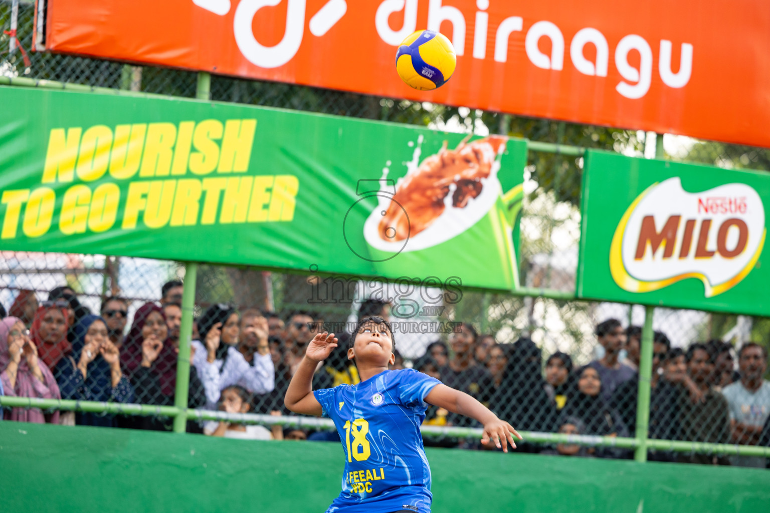 Day 5 of Interschool Volleyball Tournament 2024 was held in Ekuveni Volleyball Court at Male', Maldives on Wednesday, 27th November 2024.
Photos: Ismail Thoriq / images.mv