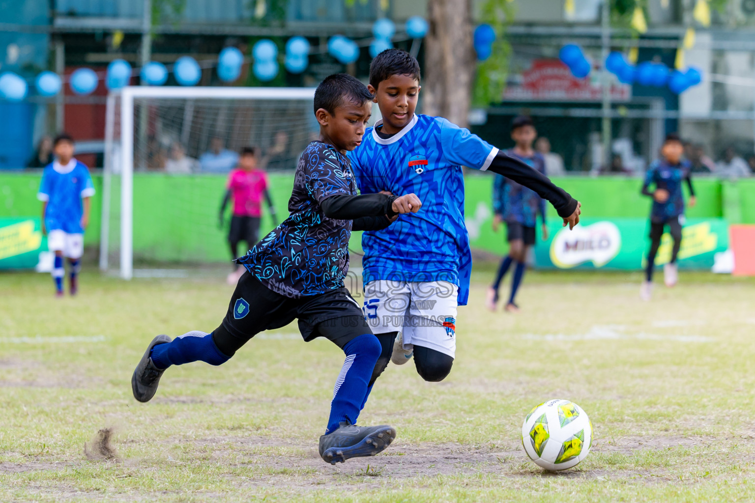 Day 3 MILO Kids 7s Weekend 2024 held in Male, Maldives on Saturday, 19th October 2024. Photos: Nausham Waheed / images.mv