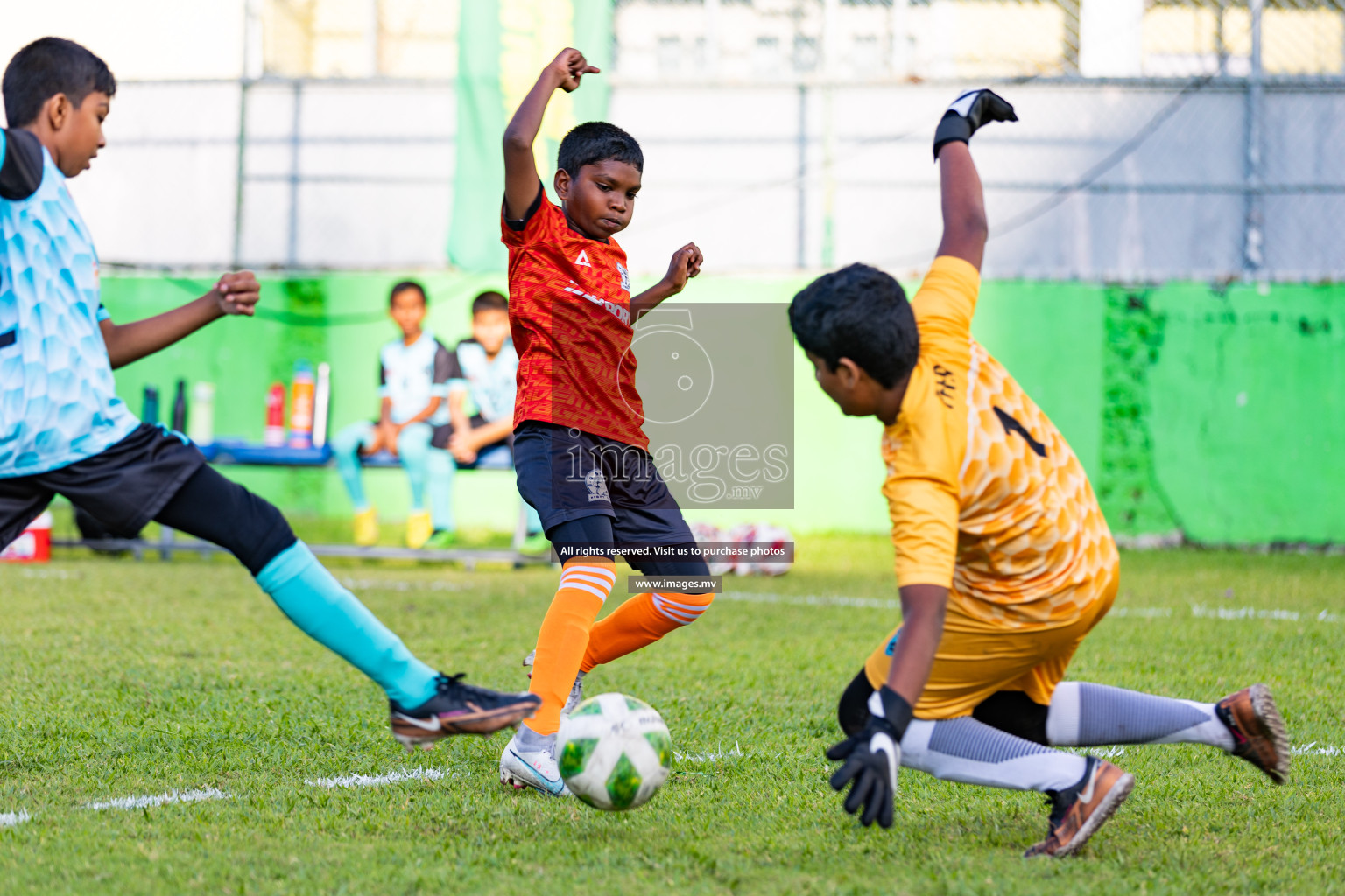 Day 1 of MILO Academy Championship 2023 (U12) was held in Henveiru Football Grounds, Male', Maldives, on Friday, 18th August 2023.