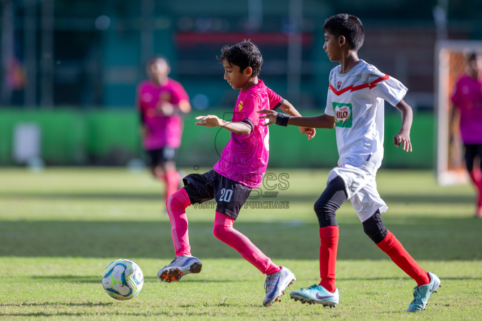 Dhivehi Youth League 2024 - Day 1. Matches held at Henveiru Stadium on 21st November 2024 , Thursday. Photos: Shuu Abdul Sattar/ Images.mv