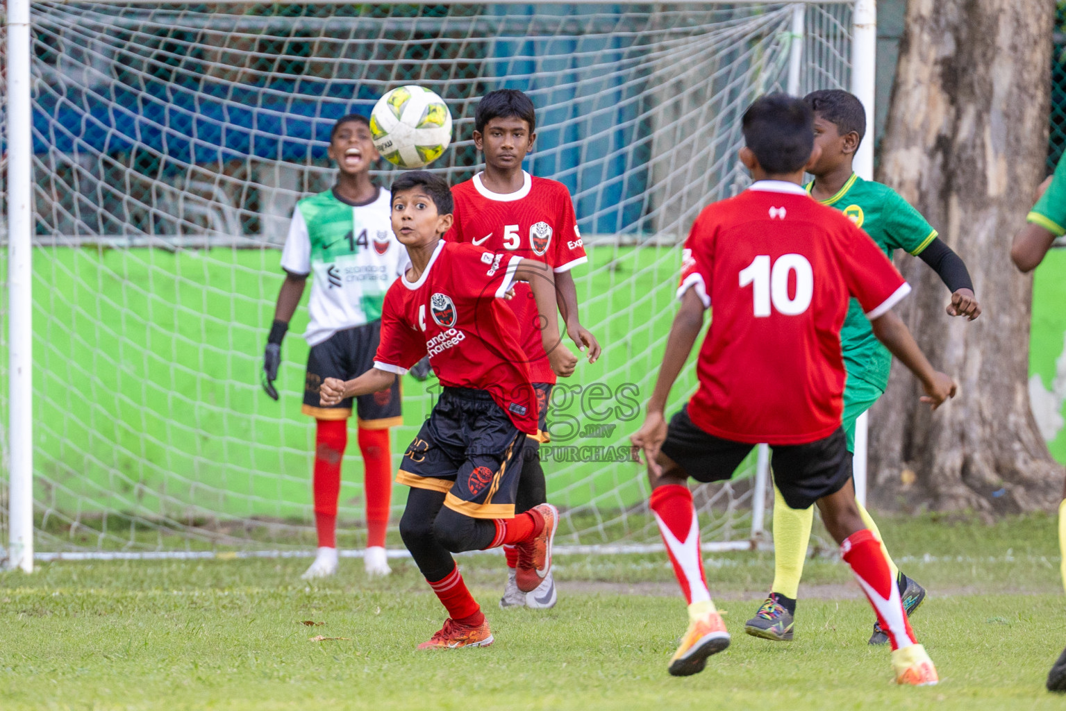 Day 1 of MILO Kids 7s Weekend 2024 held in Male, Maldives on Thursday, 17th October 2024. Photos: Shuu / images.mv