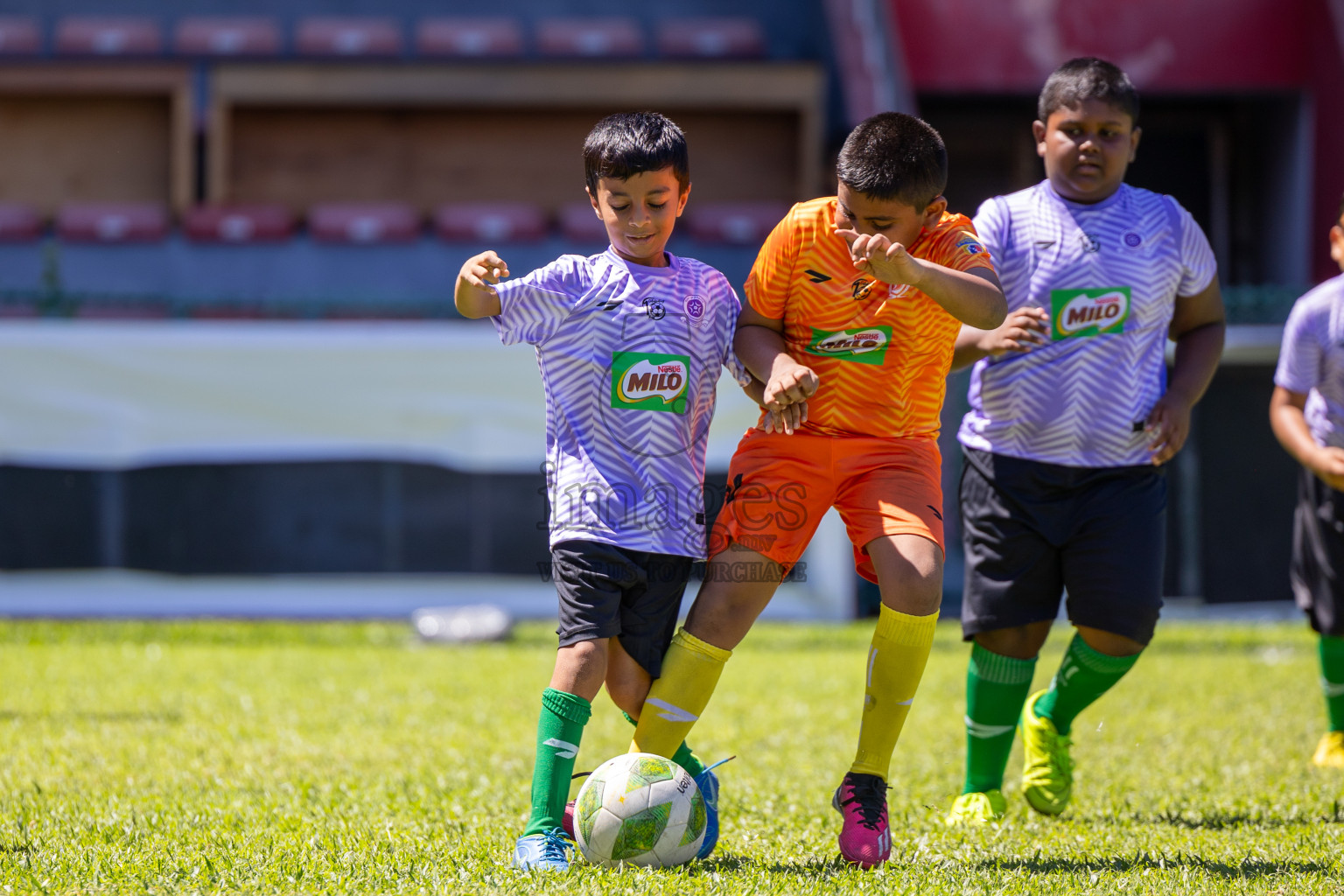 Day 1 of MILO Kids Football Fiesta was held at National Stadium in Male', Maldives on Friday, 23rd February 2024. 
Photos: Ismail Thoriq / images.mv