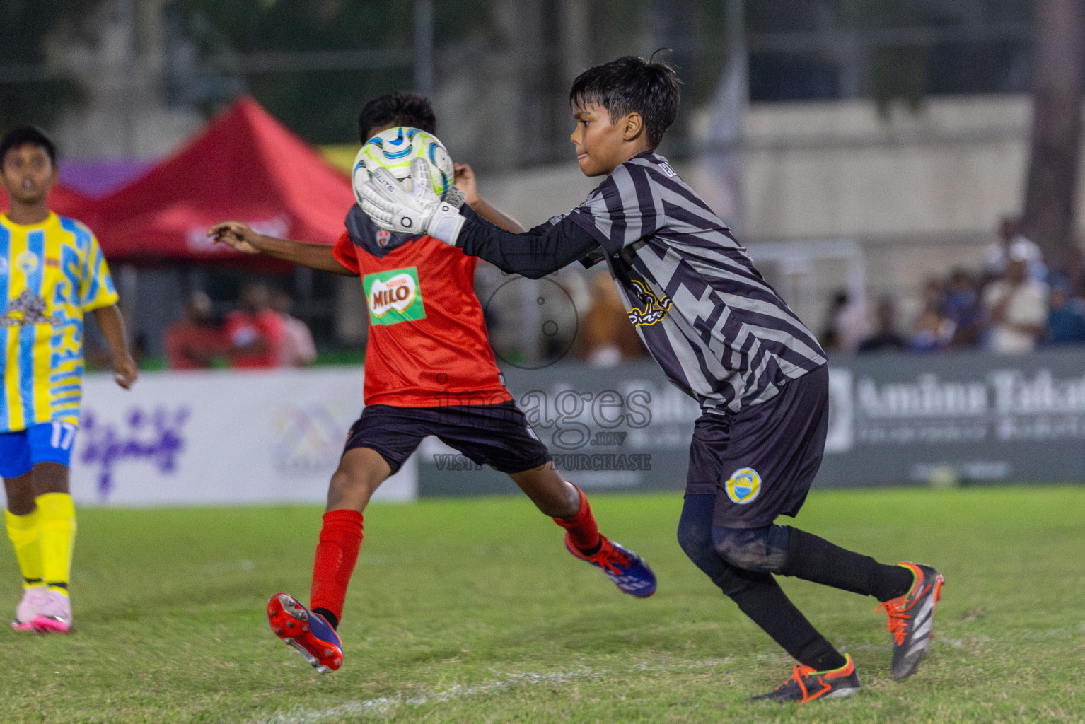 TC vs Valencia  (U12) in Day 5 of Dhivehi Youth League 2024 held at Henveiru Stadium on Friday 29th November 2024. Photos: Shuu Abdul Sattar/ Images.mv