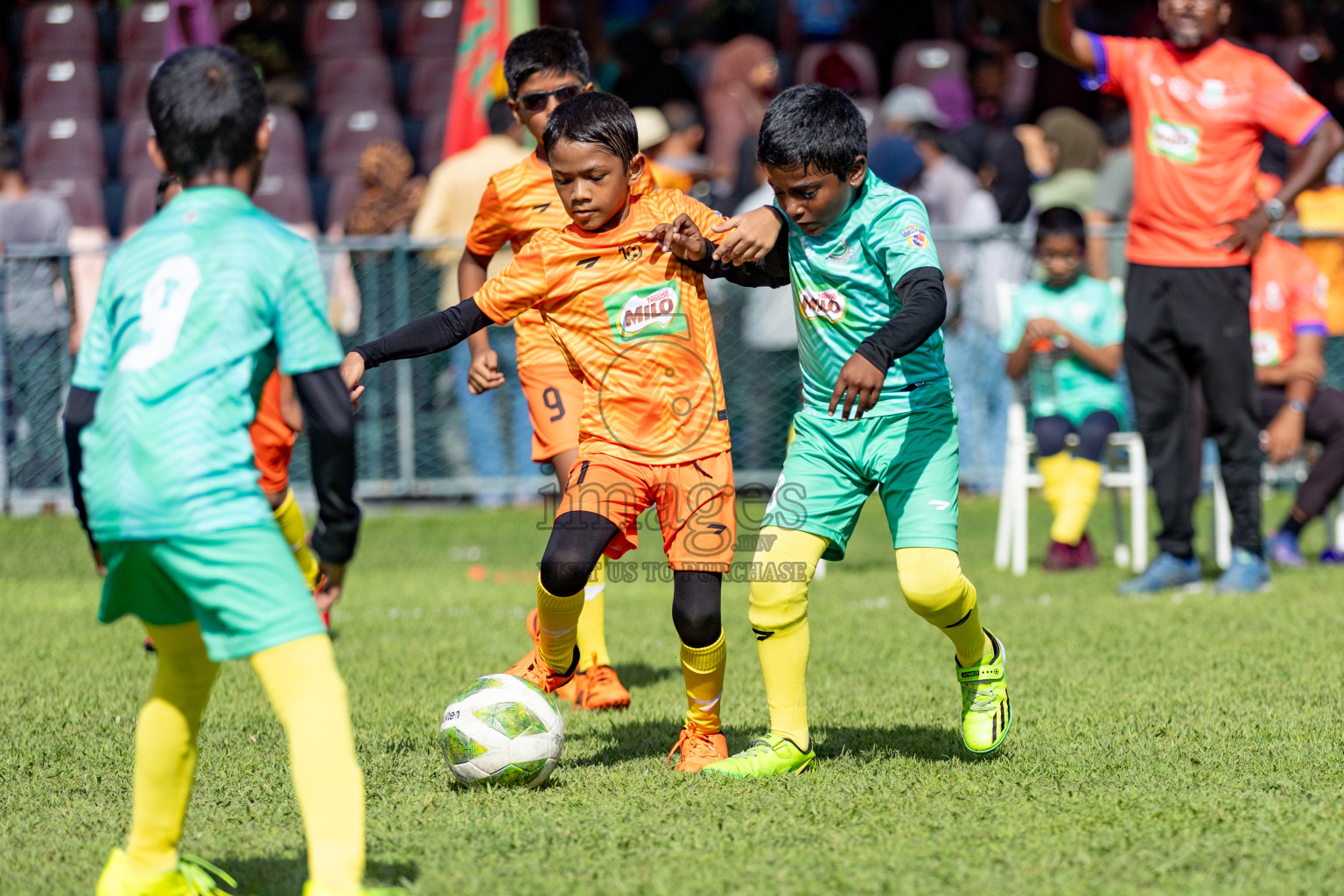 Day 1 of MILO Kids Football Fiesta was held at National Stadium in Male', Maldives on Friday, 23rd February 2024. 
Photos: Hassan Simah / images.mv