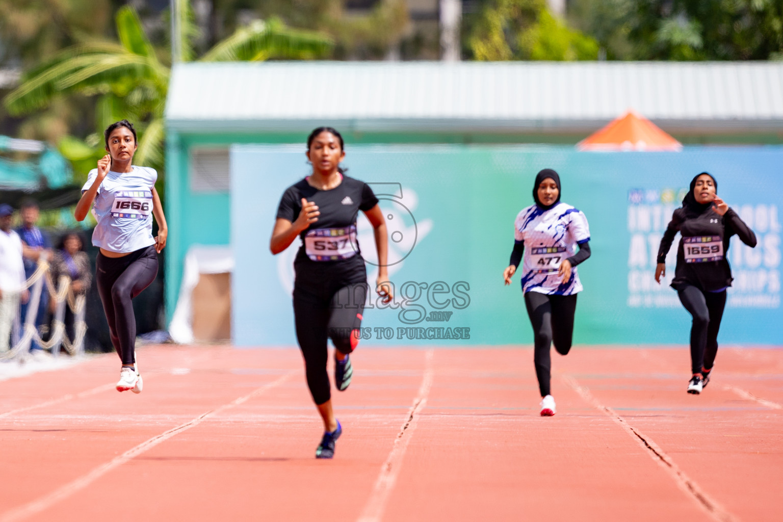 Day 3 of MWSC Interschool Athletics Championships 2024 held in Hulhumale Running Track, Hulhumale, Maldives on Monday, 11th November 2024. 
Photos by: Hassan Simah / Images.mv