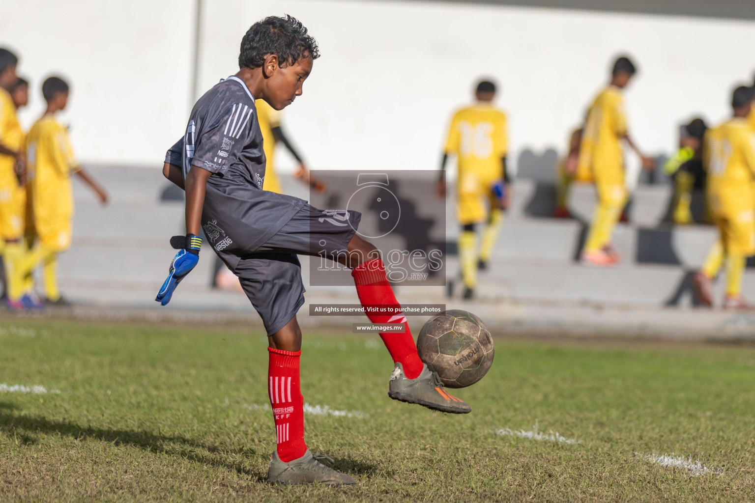 Day 3 of Nestle Kids Football Fiesta, held in Henveyru Football Stadium, Male', Maldives on Friday, 13th October 2023
Photos: Hassan Simah, Ismail Thoriq / images.mv