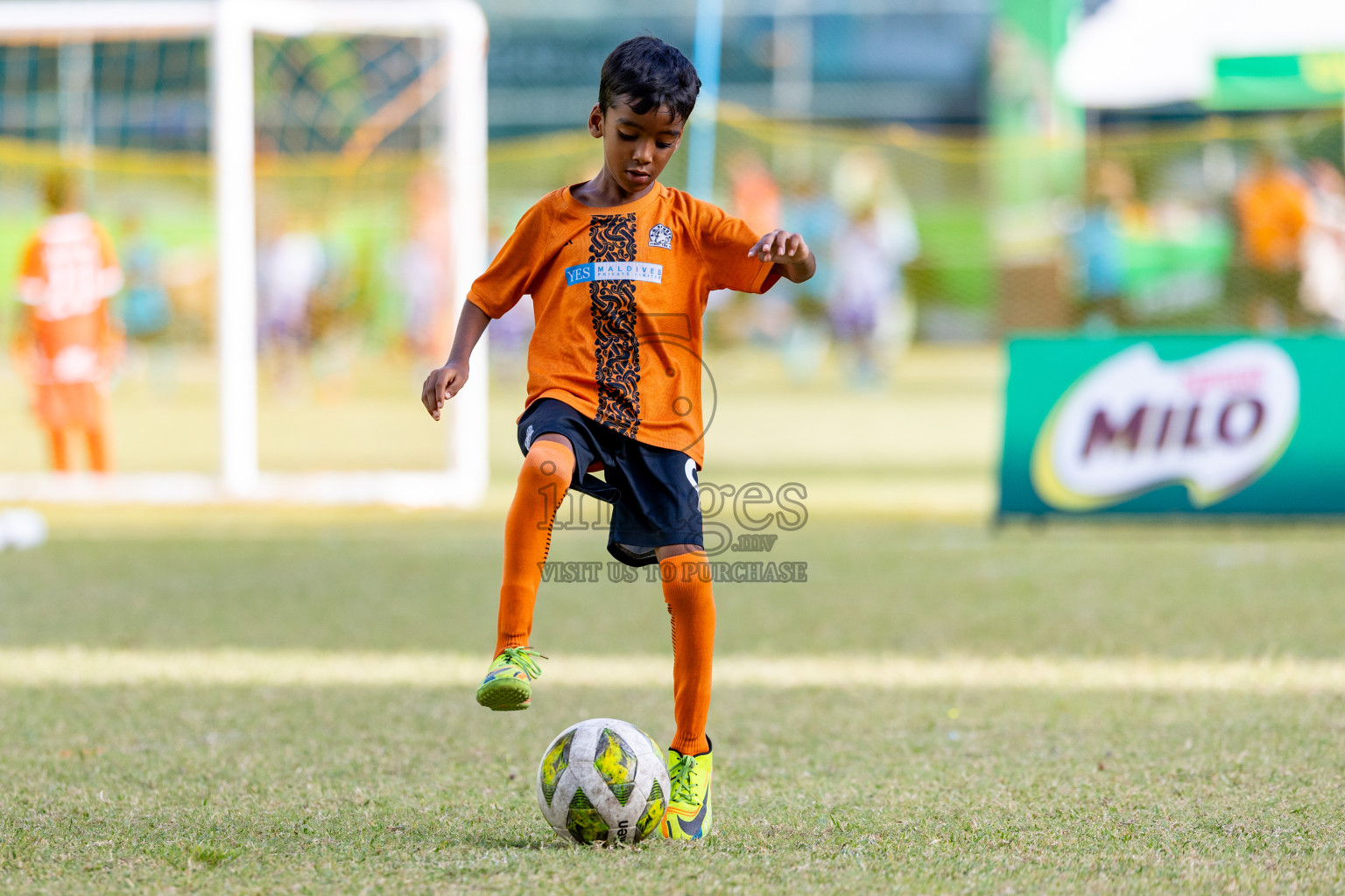 Day 2 of MILO SVAM Juniors 2025 (U-8) was held at Henveiru Stadium in Male', Maldives on Friday, 27th June 2025. 

Photos: Hassan Simah / images.mv