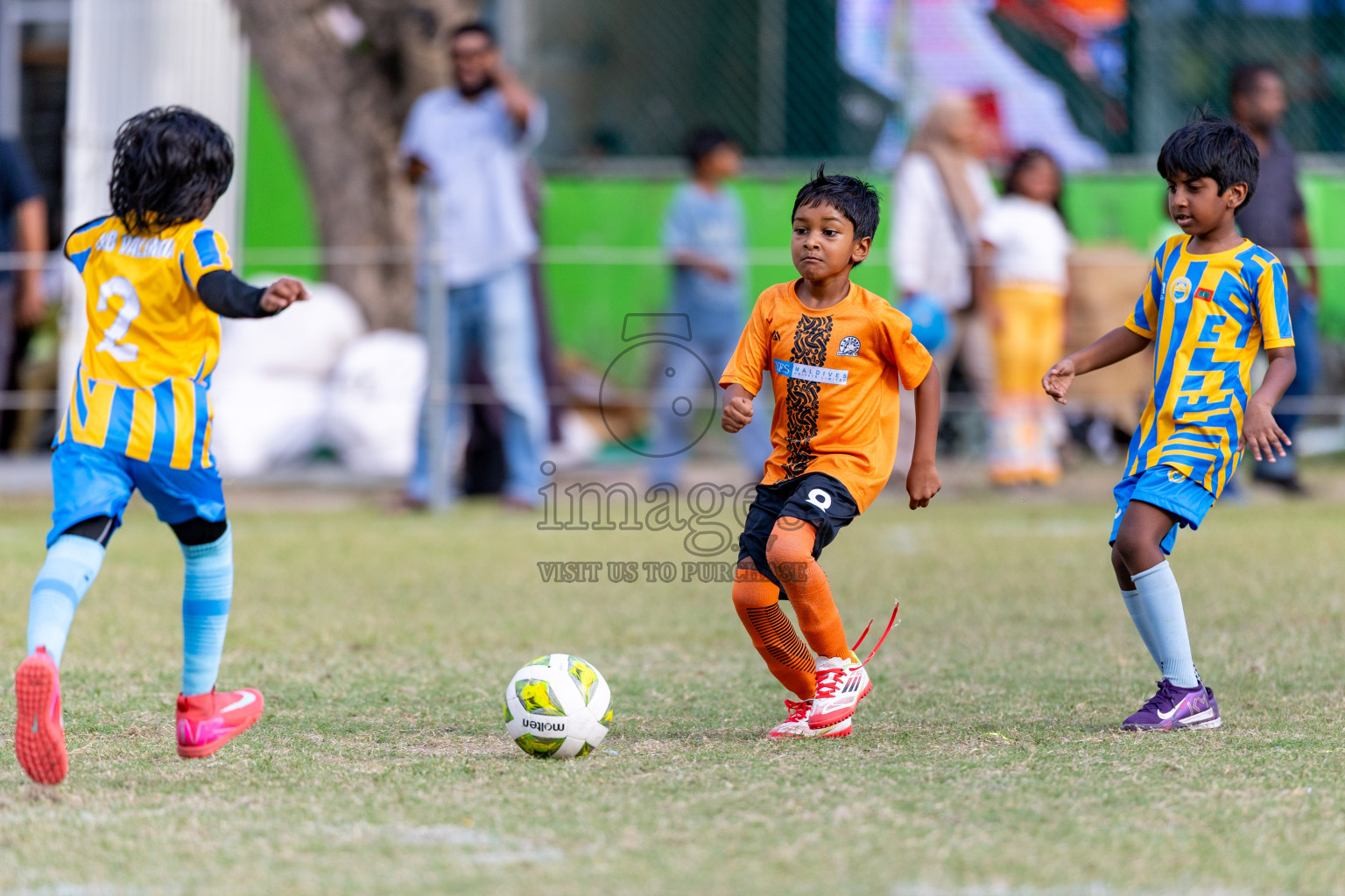 Day 2 of MILO SVAM Juniors 2025 (U-8) was held at Henveiru Stadium in Male', Maldives on Friday, 27th June 2025. 

Photos: Hassan Simah / images.mv