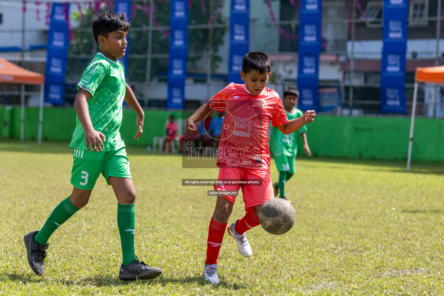 Day 3 of Nestle Kids Football Fiesta, held in Henveyru Football Stadium, Male', Maldives on Friday, 13th October 2023
Photos: Hassan Simah, Ismail Thoriq / images.mv