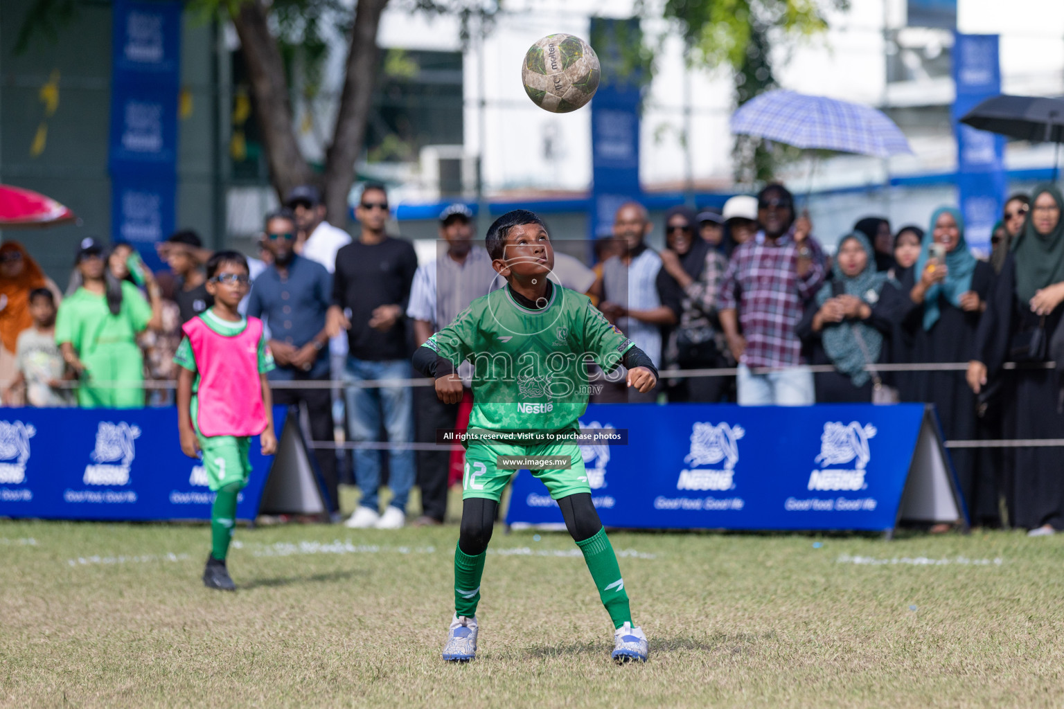 Nestle Kids Football Fiesta 2023 - Day 4
Day 4 of Nestle Kids Football Fiesta, held in Henveyru Football Stadium, Male', Maldives on Saturday, 14th October 2023 Photos: Nausham Waheed / images.mv