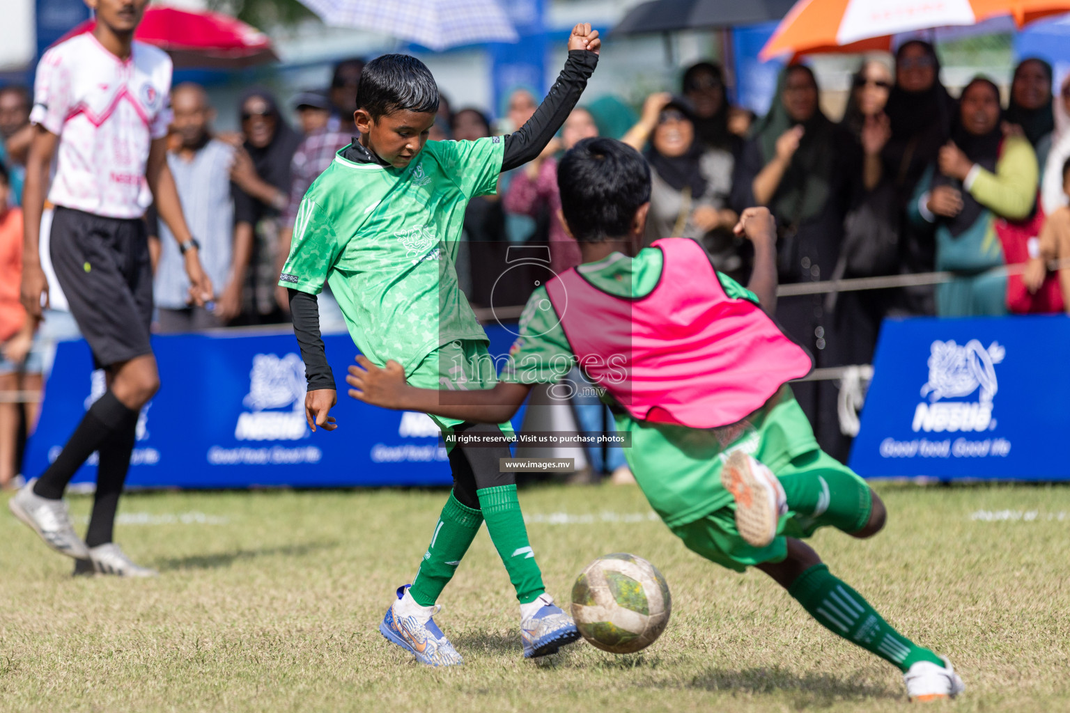 Nestle Kids Football Fiesta 2023 - Day 4
Day 4 of Nestle Kids Football Fiesta, held in Henveyru Football Stadium, Male', Maldives on Saturday, 14th October 2023 Photos: Nausham Waheed / images.mv