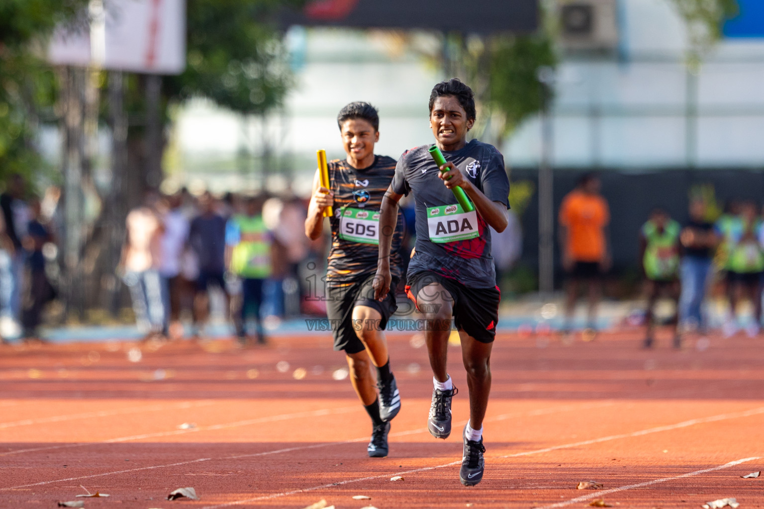 Day 2 of 12th Milo Association Championships was held in Ekuveni Track at Male', Maldives on Friday, 25th April 2025. Photos: Ismail Thoriq / images.mv