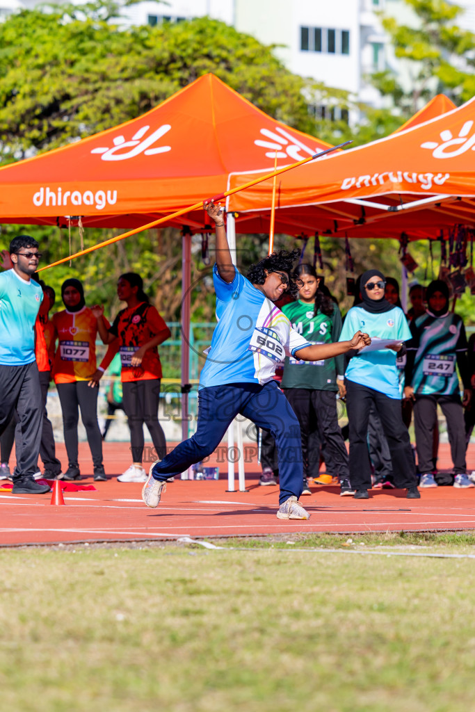 Day 3 of MWSC Interschool Athletics Championships 2024 held in Hulhumale Running Track, Hulhumale, Maldives on Monday, 11th November 2024. Photos by: Nausham Waheed / Images.mv