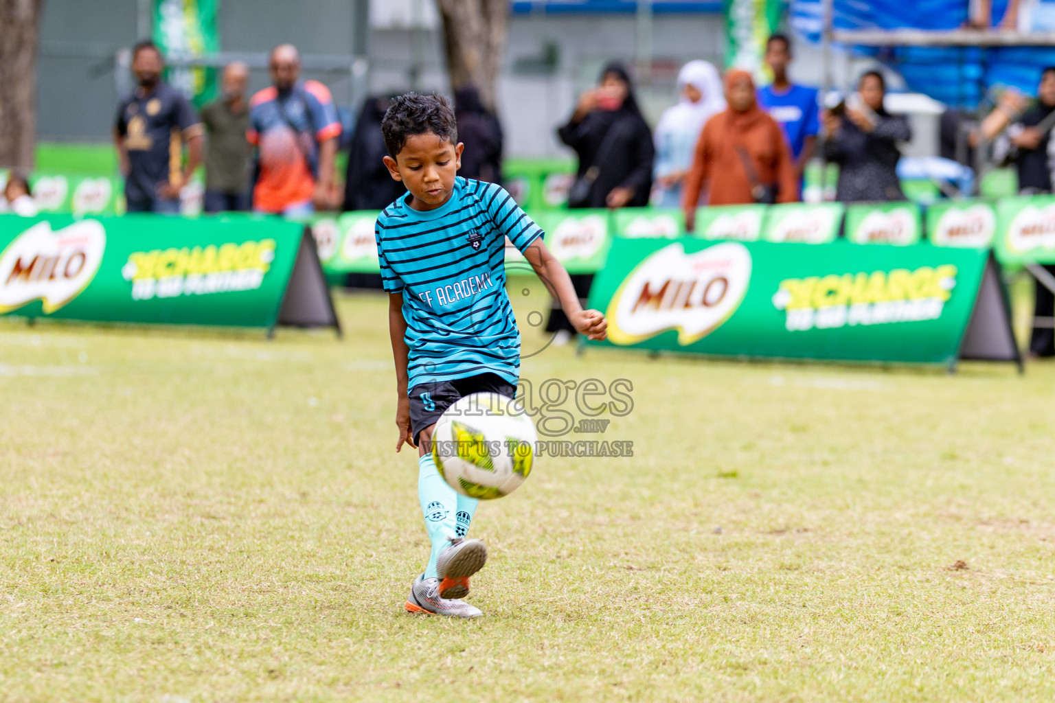 Day 1 of MILO SVAM Juniors 2025 (U-8) was held at Henveiru Stadium in Male', Maldives on Thursday, 26th June 2025. 
Photos: Hassan Simah / images.mv