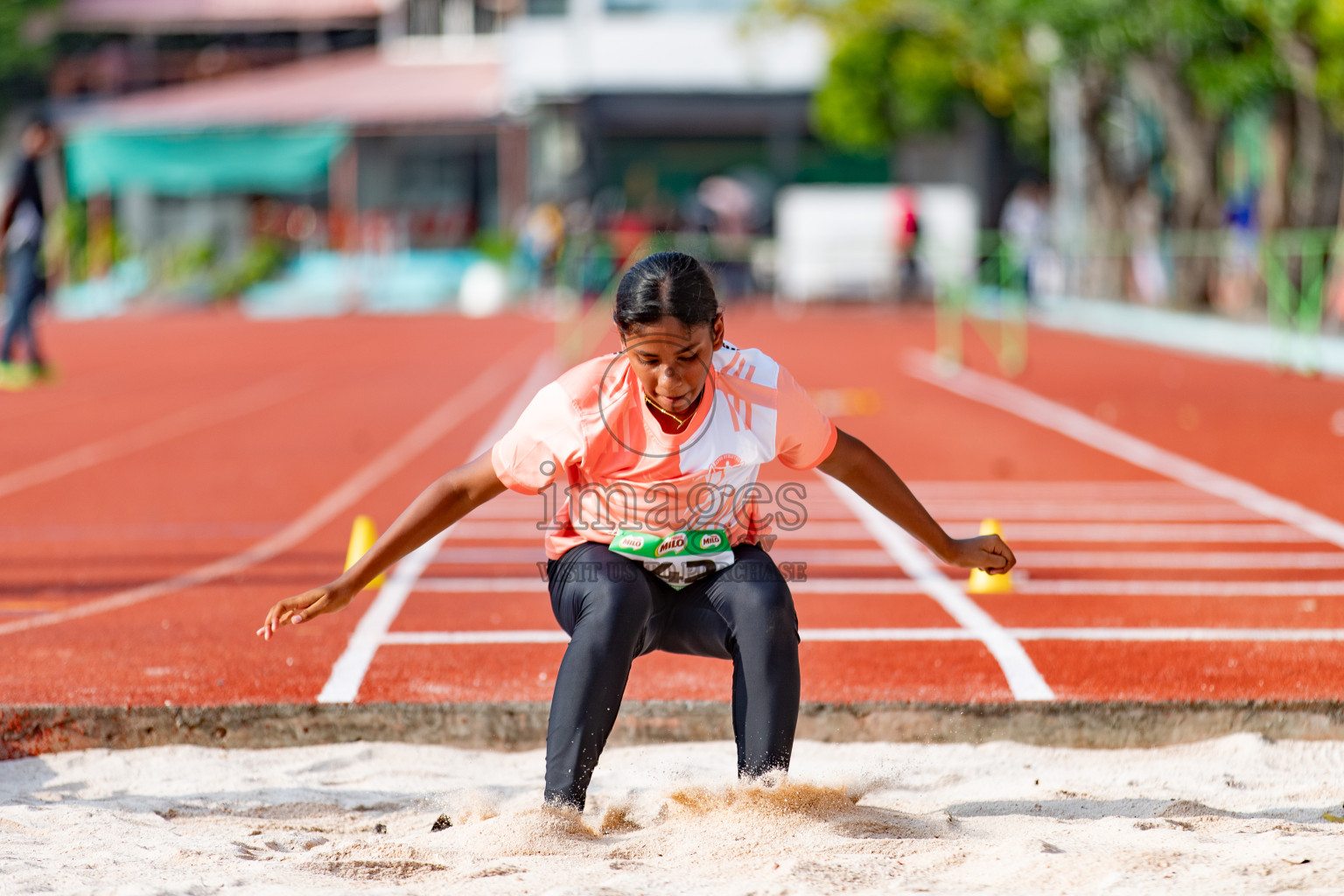 Day 2 of MILO Athletics Association Championship was held on Wednesday, 6th March 2024 in Male', Maldives.