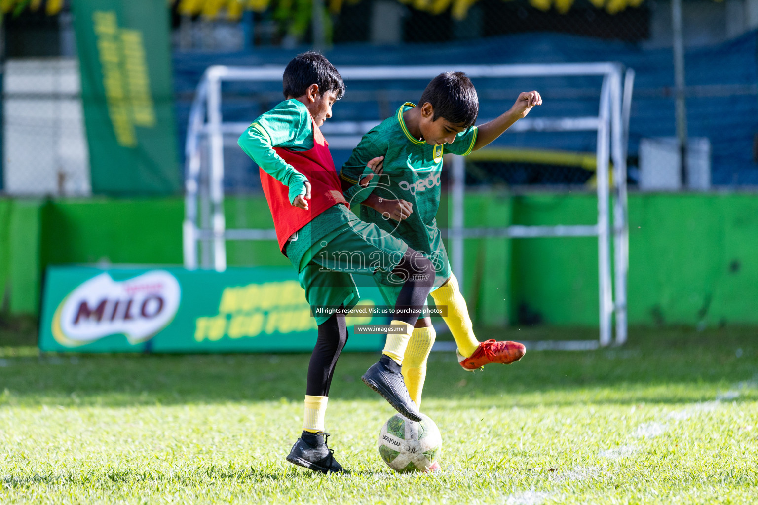 Day 2 of MILO Academy Championship 2023 (U12) was held in Henveiru Football Grounds, Male', Maldives, on Saturday, 19th August 2023. Photos: Nausham Waheedh / images.mv