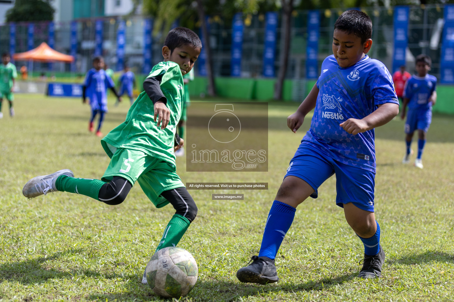 Day 4 of Nestle Kids Football Fiesta, held in Henveyru Football Stadium, Male', Maldives on Saturday, 14th October 2023
Photos: Mohamed Mahfooz Moosa, Hassan Simah / images.mv