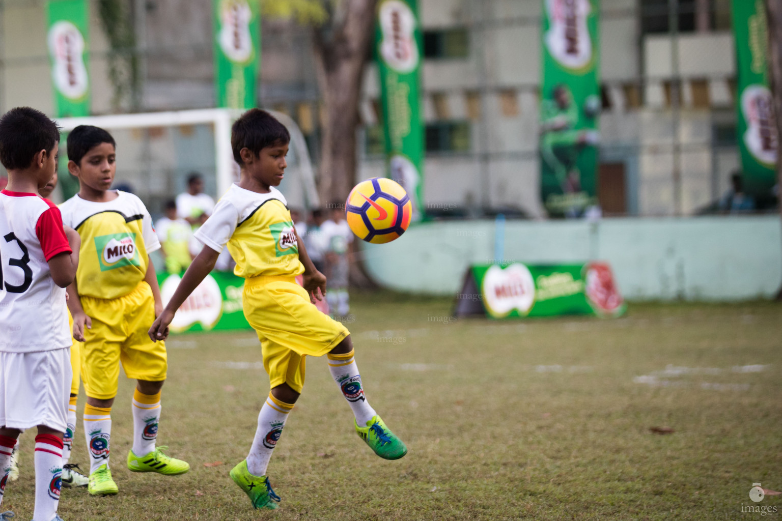Day 1 of Milo Kids Football Fiesta in Henveiru Grounds in Male', Maldives, Thursday, February 20th 2019 (Images.mv Photo/Suadh Abdul Sattar)