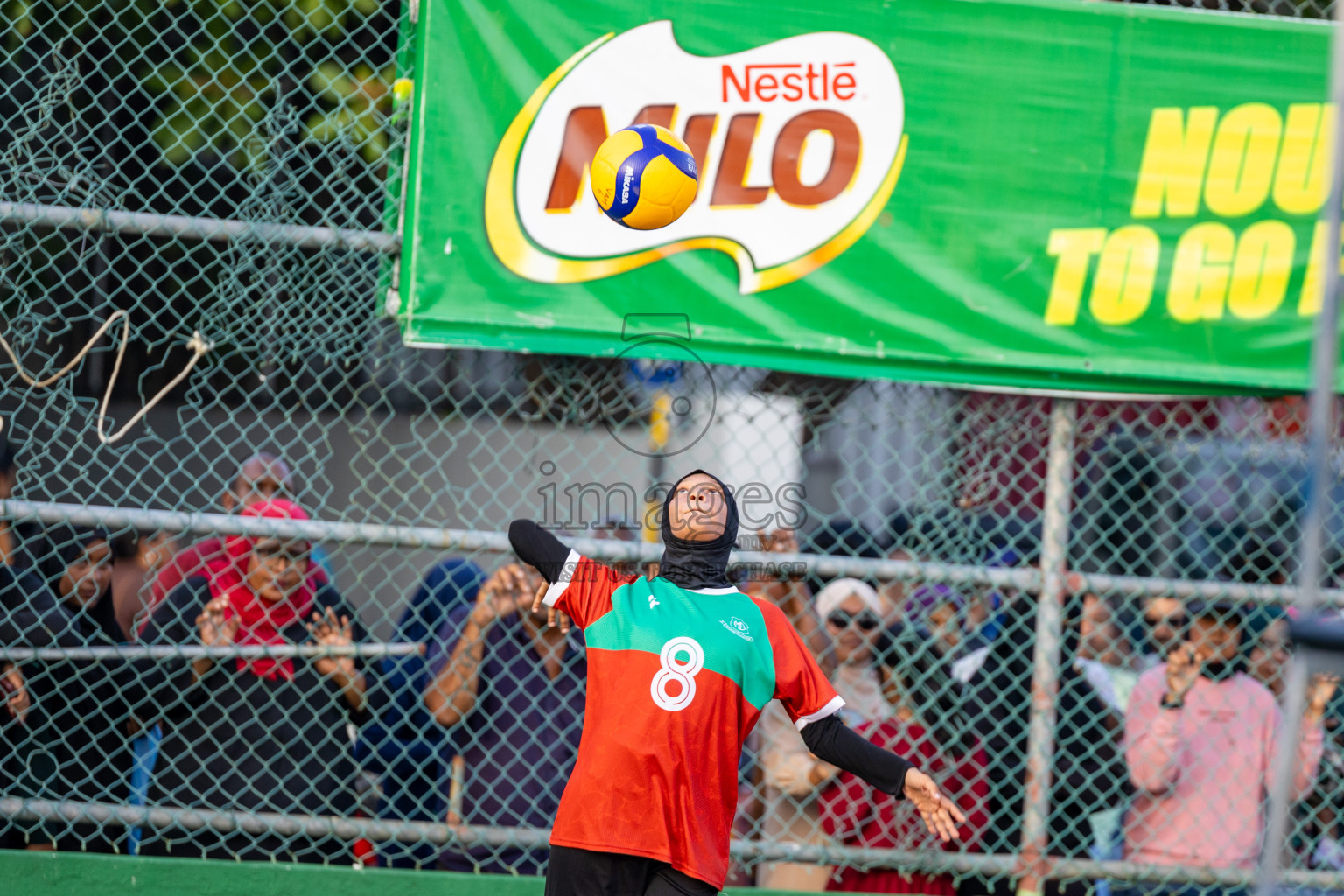 Day 6 of Interschool Volleyball Tournament 2024 was held in Ekuveni Volleyball Court at Male', Maldives on Thursday, 28th November 2024.
Photos: Ismail Thoriq / images.mv