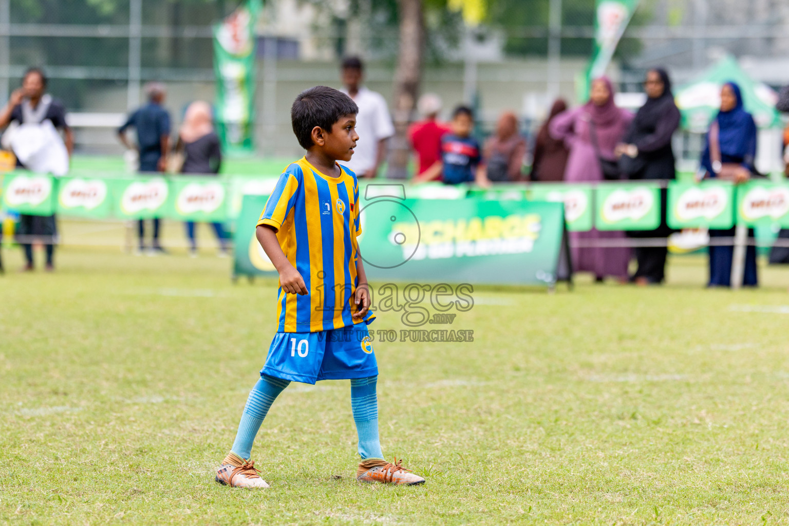 Day 1 of MILO SVAM Juniors 2025 (U-8) was held at Henveiru Stadium in Male', Maldives on Thursday, 26th June 2025. 
Photos: Hassan Simah / images.mv