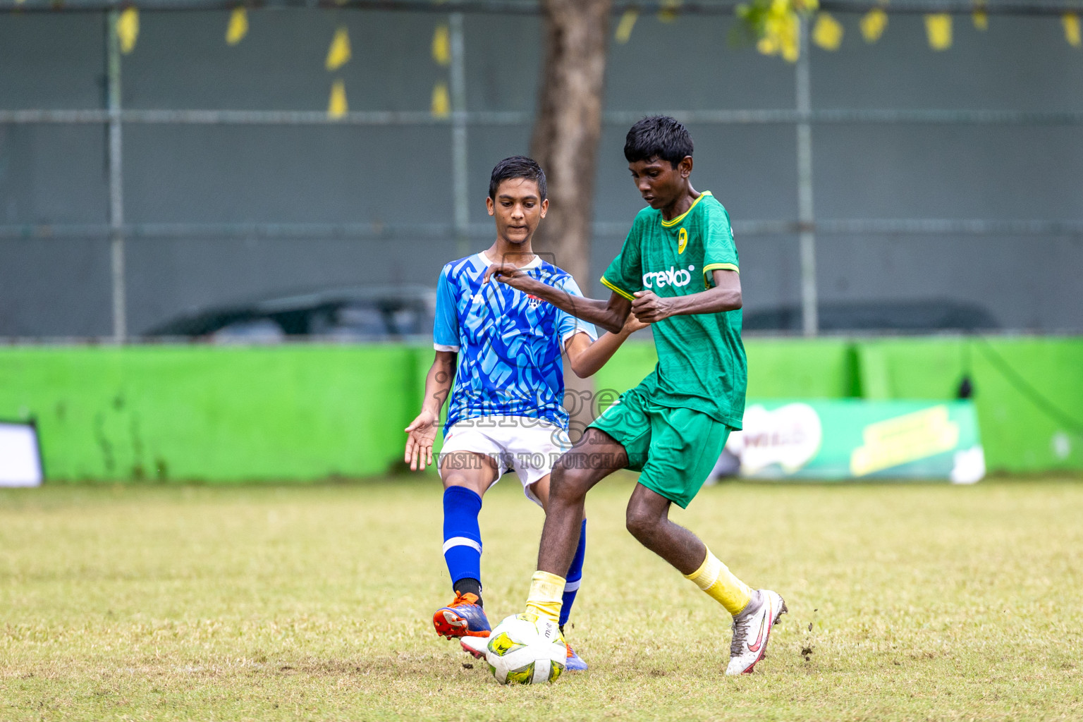 Day 4 of MILO Academy Championship 2024 (U-14) was held in Henveyru Stadium, Male', Maldives on Sunday, 3rd November 2024.
Photos: Ismail Thoriq /  Images.mv